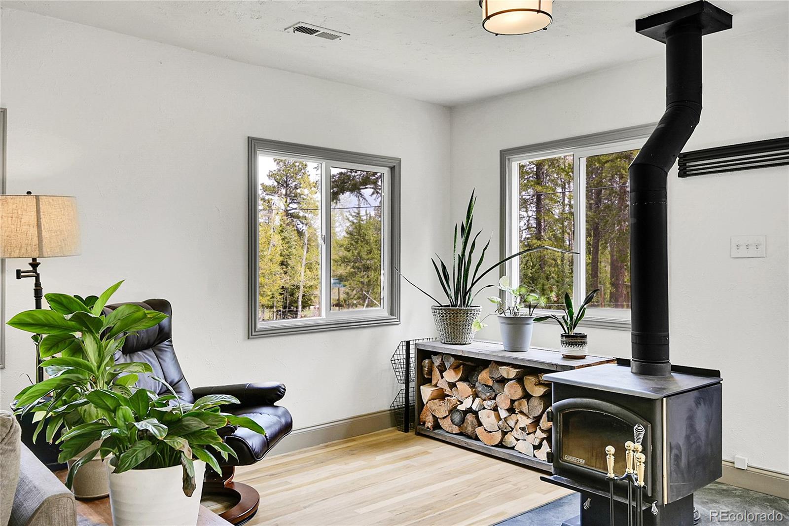 MLS Image #17 for 10887  goodheart avenue,conifer, Colorado