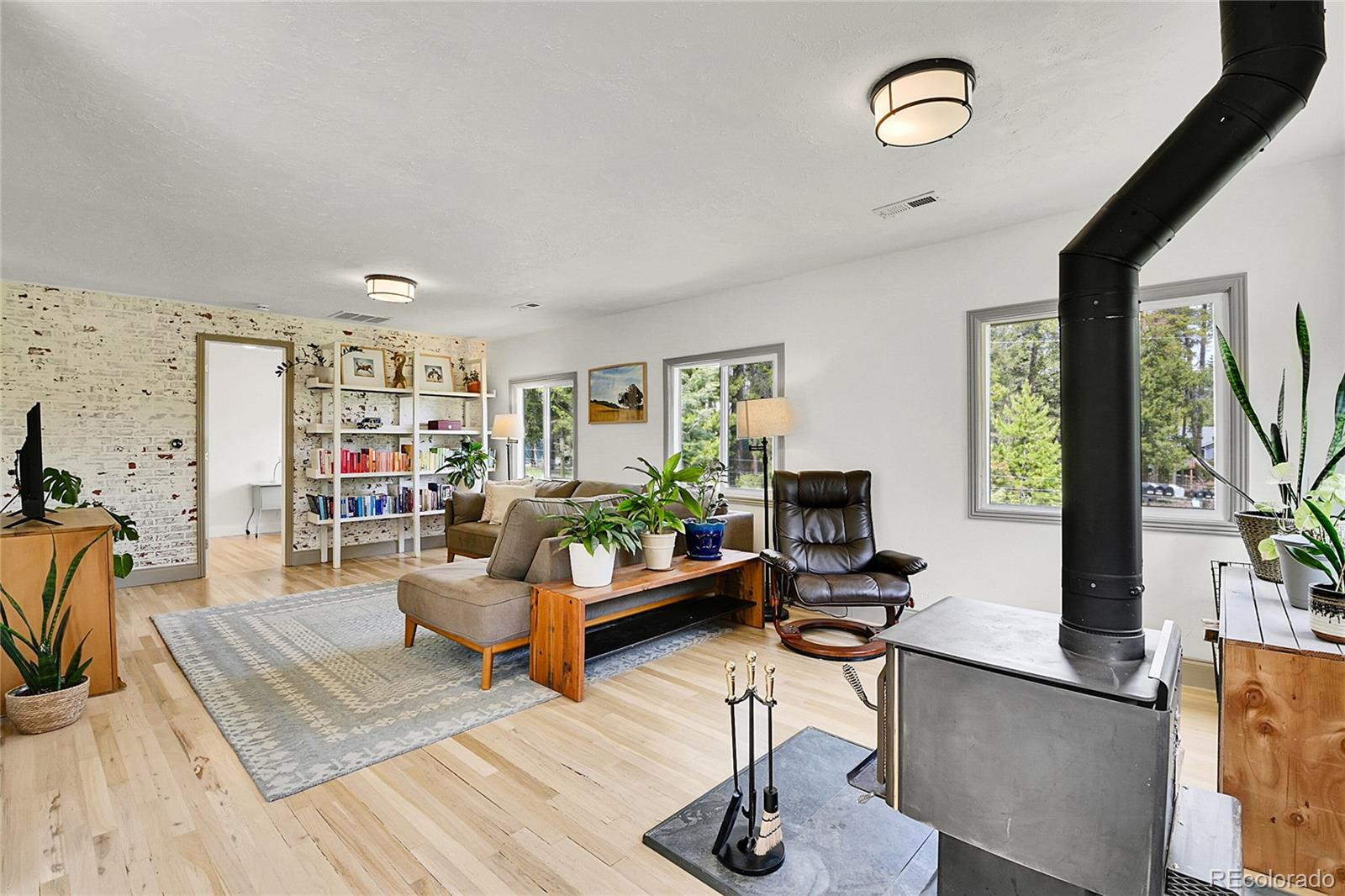 MLS Image #18 for 10887  goodheart avenue,conifer, Colorado