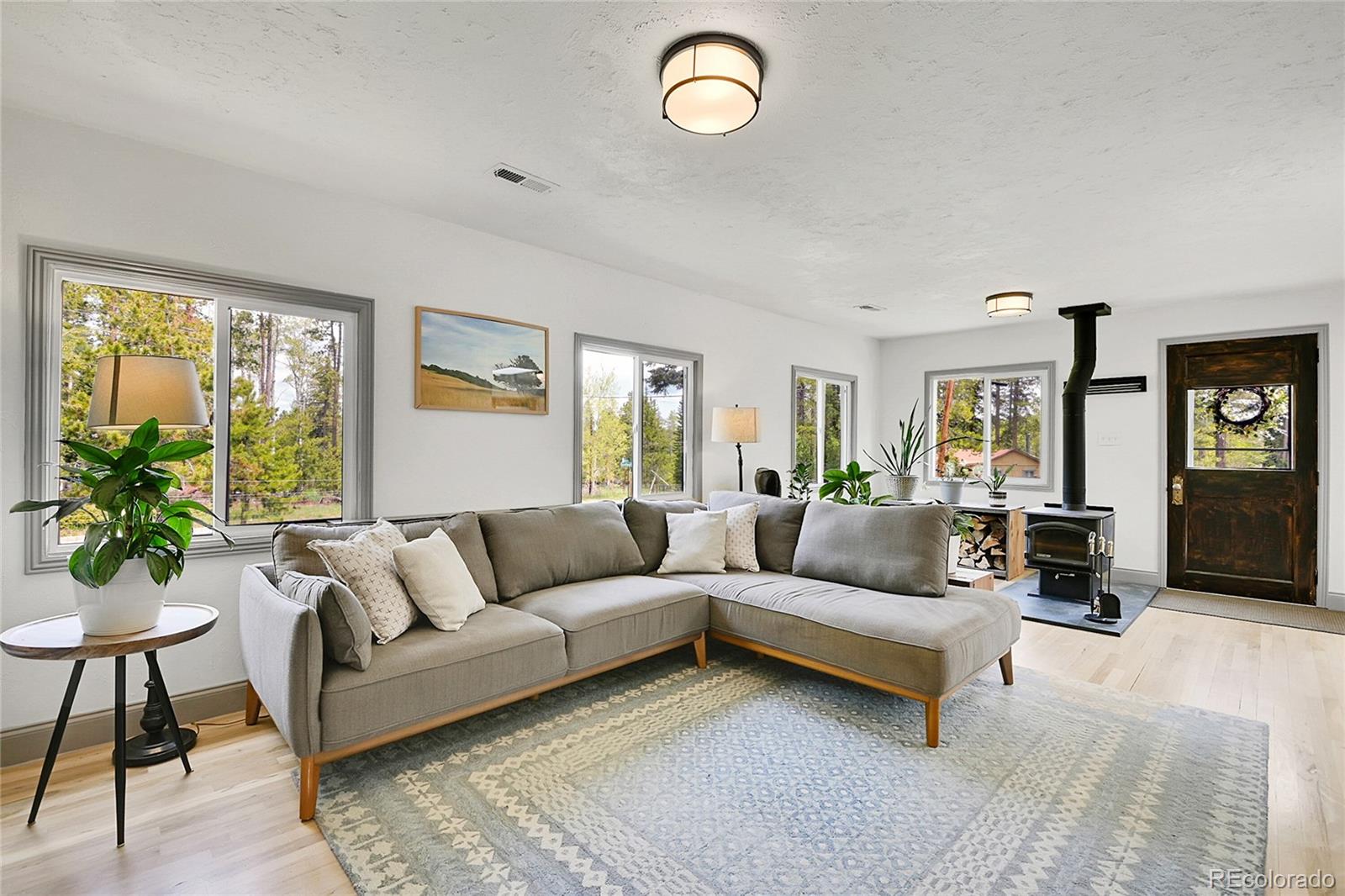 MLS Image #19 for 10887  goodheart avenue,conifer, Colorado