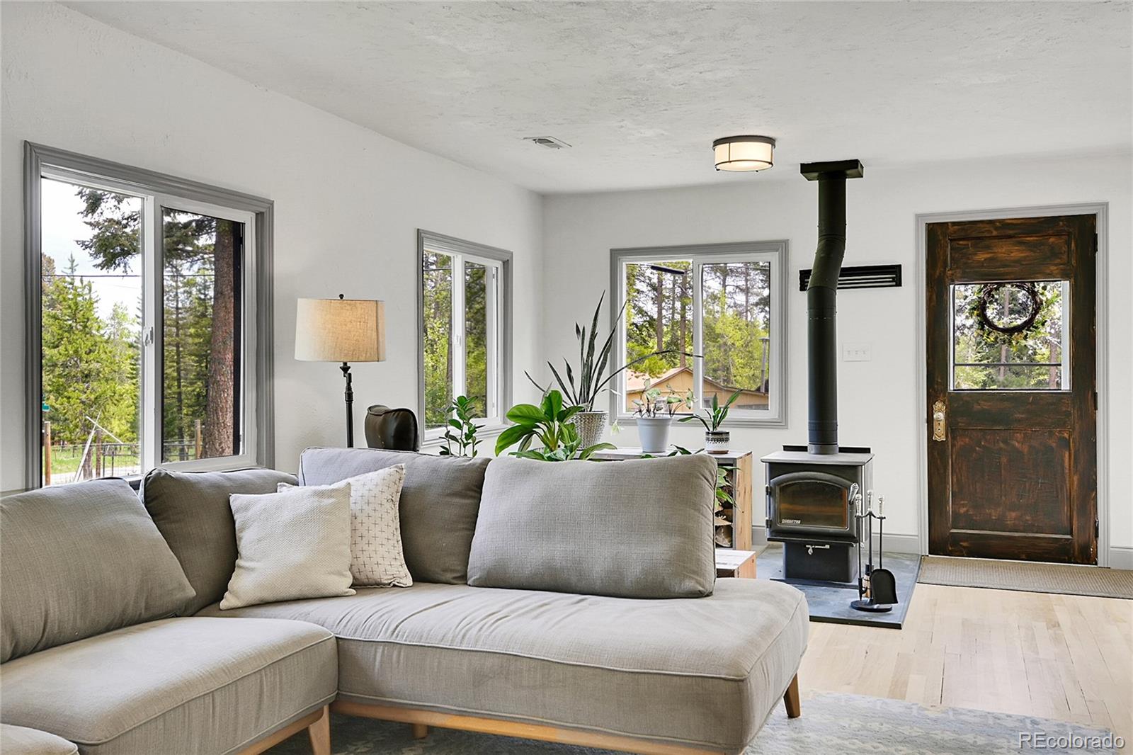 MLS Image #20 for 10887  goodheart avenue,conifer, Colorado