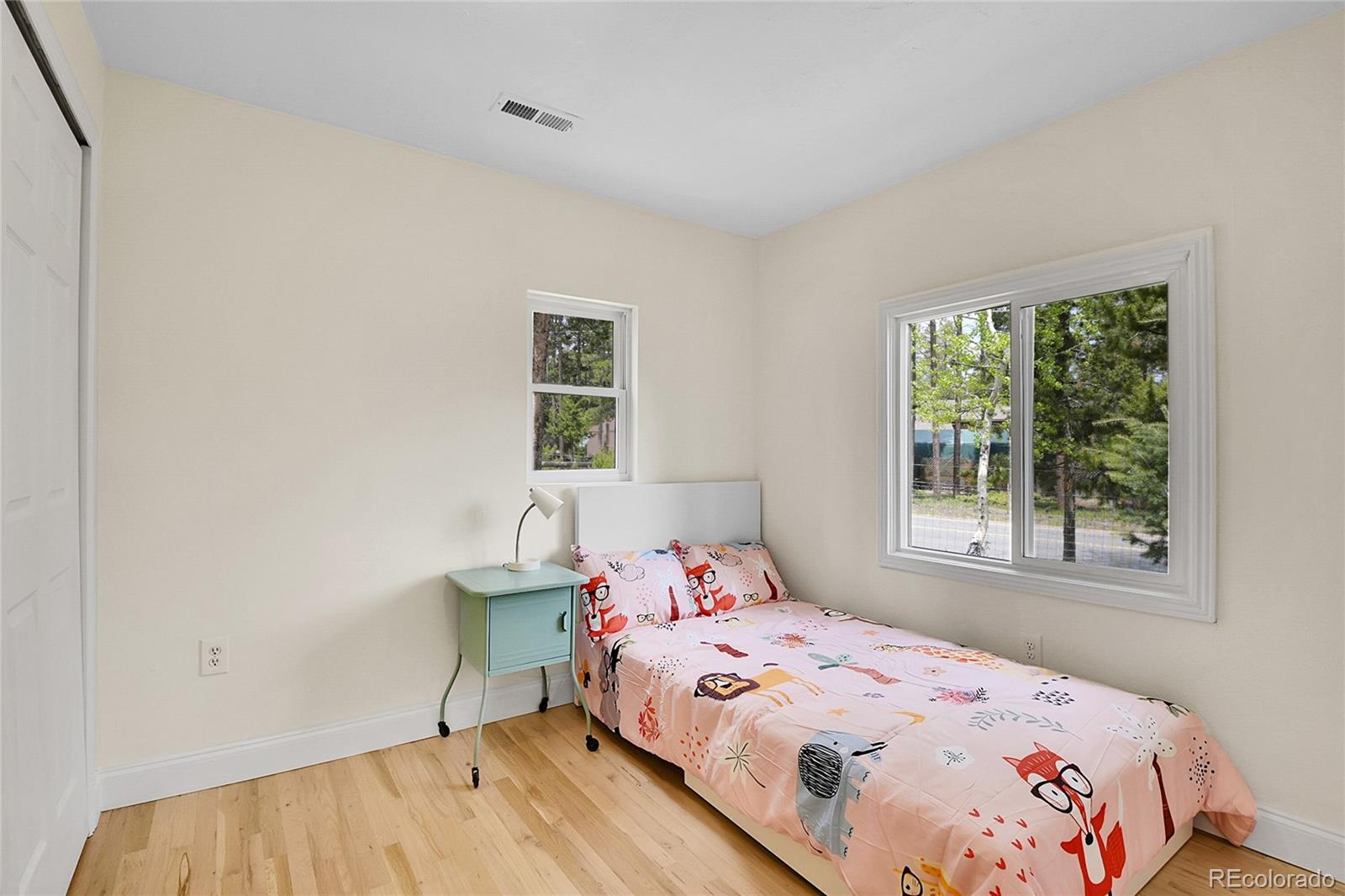 MLS Image #23 for 10887  goodheart avenue,conifer, Colorado