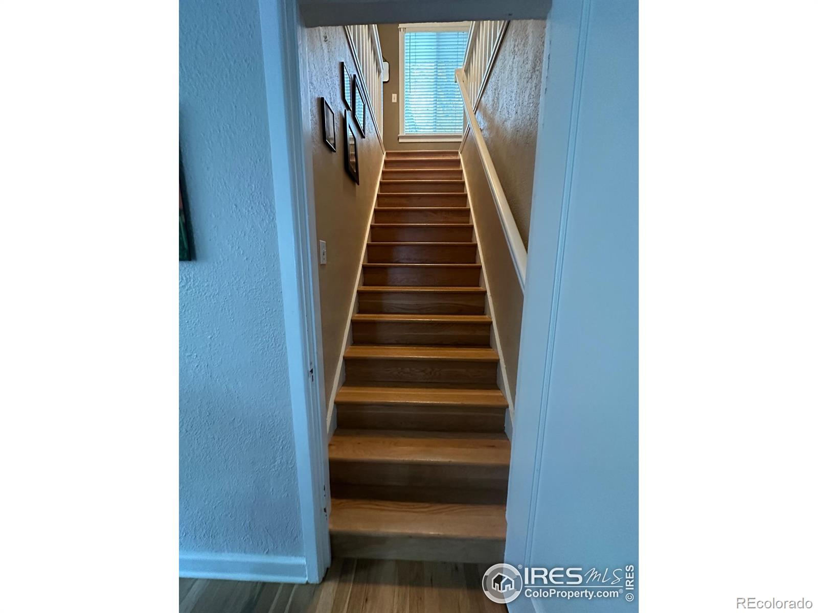 MLS Image #31 for 731  bowen street,longmont, Colorado