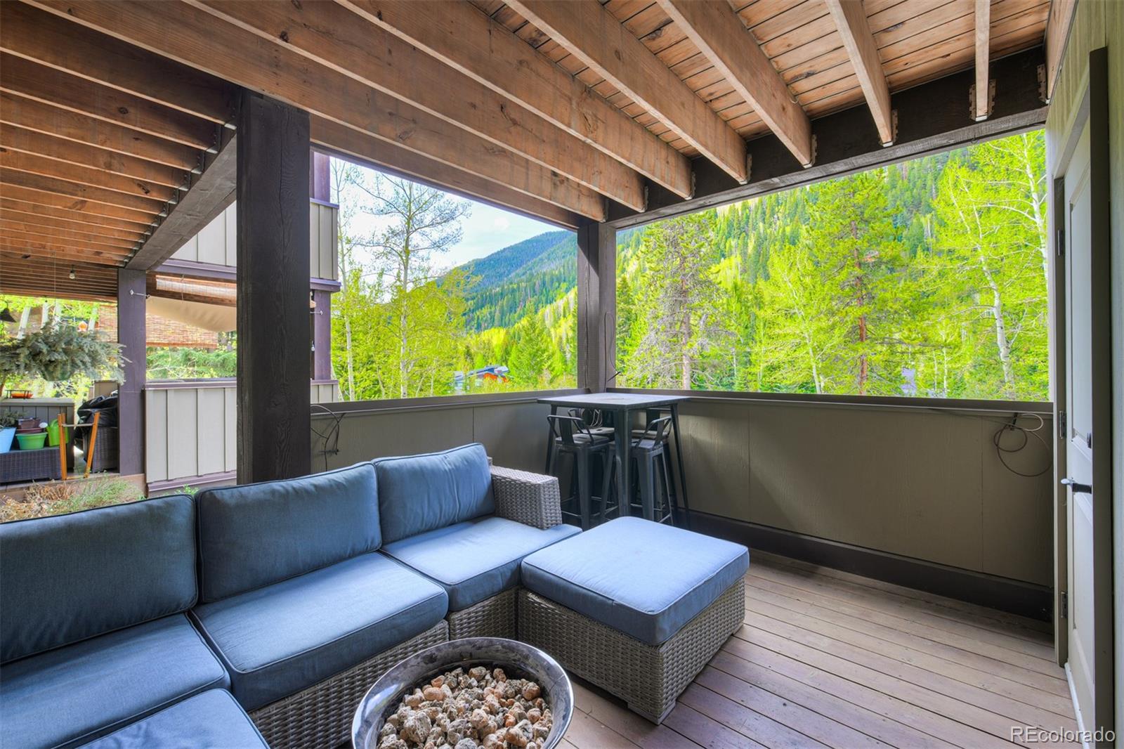 MLS Image #23 for 4295  columbine drive,vail, Colorado