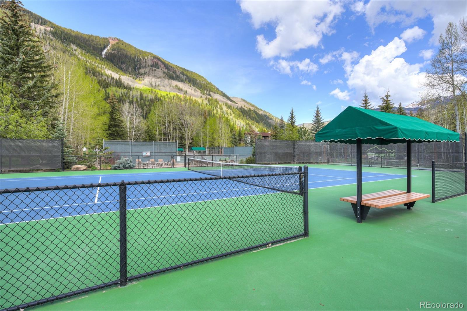 MLS Image #36 for 4295  columbine drive,vail, Colorado