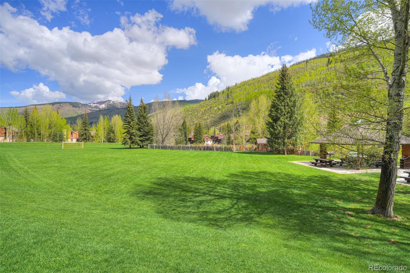 MLS Image #38 for 4295  columbine drive,vail, Colorado