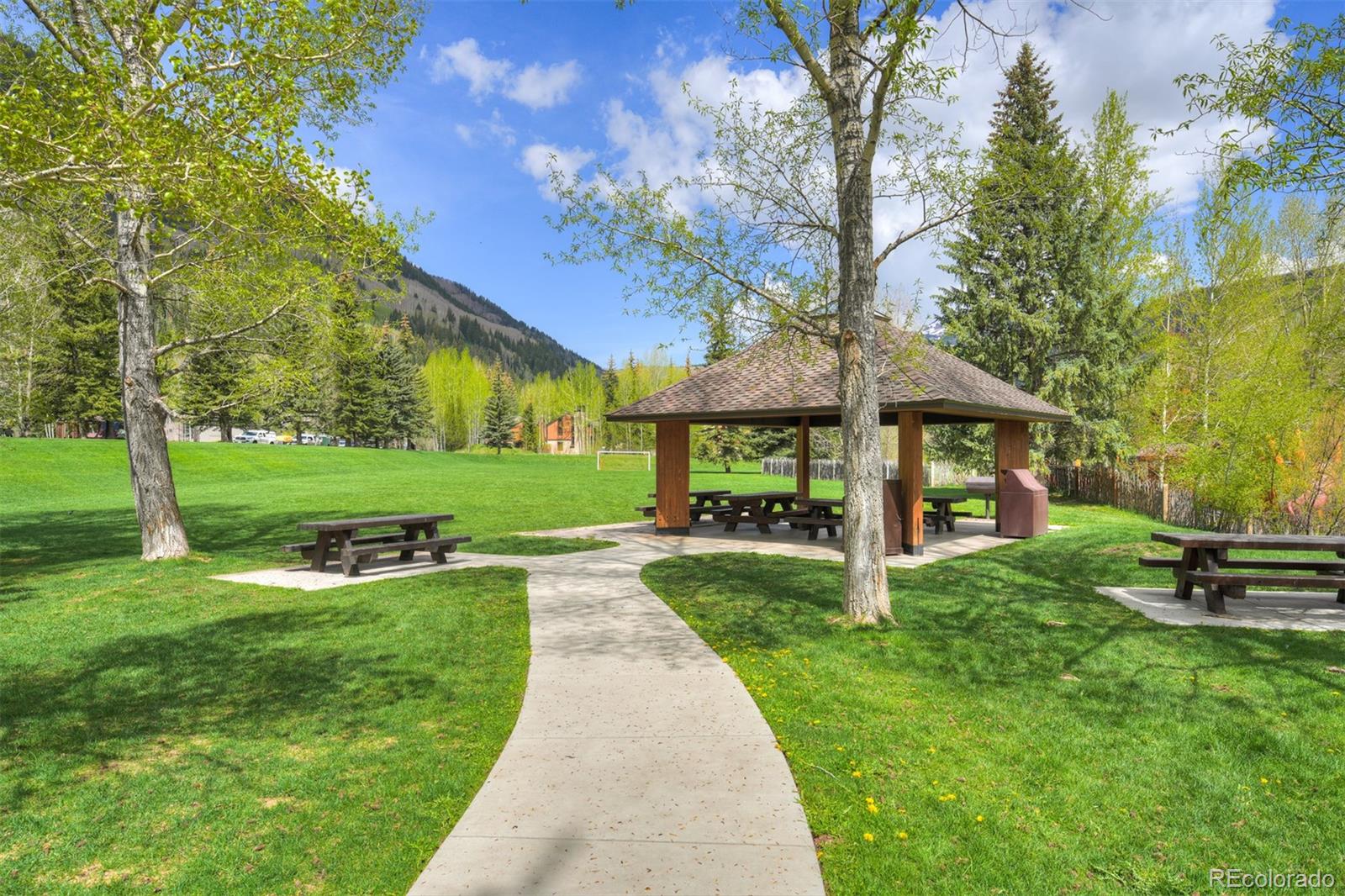 MLS Image #39 for 4295  columbine drive,vail, Colorado