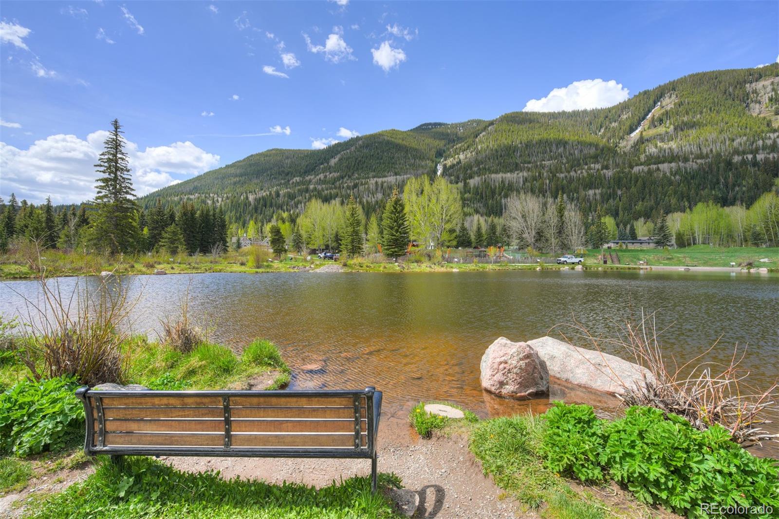 MLS Image #40 for 4295  columbine drive,vail, Colorado