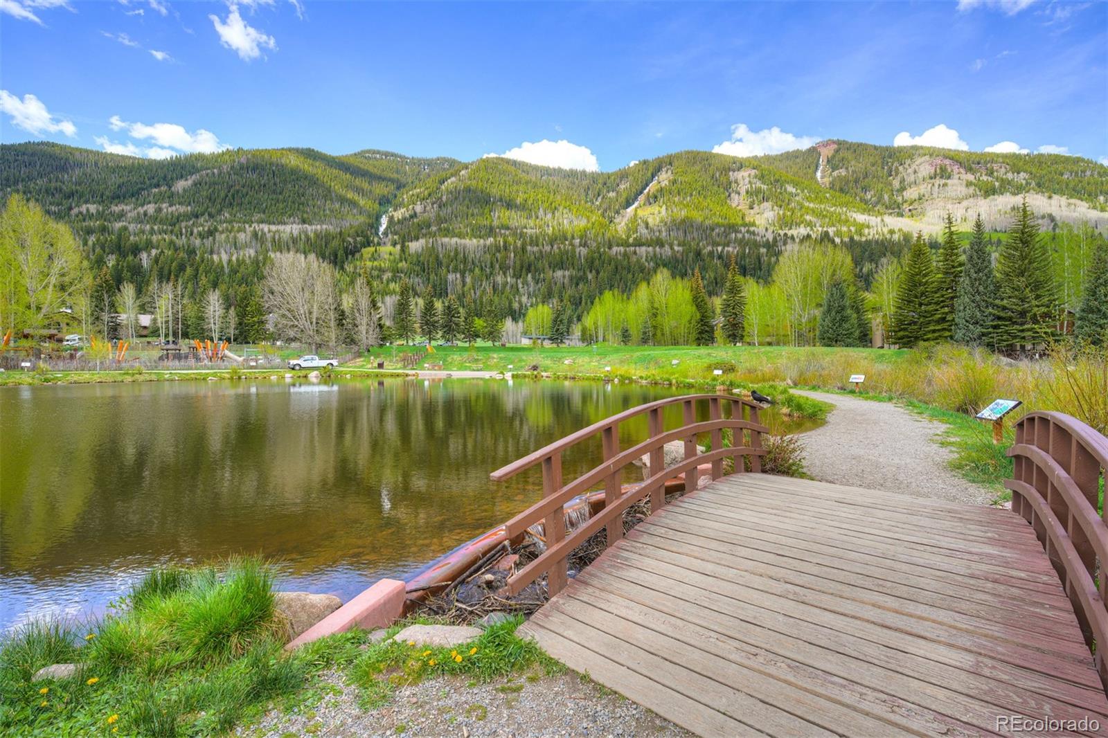 MLS Image #41 for 4295  columbine drive,vail, Colorado