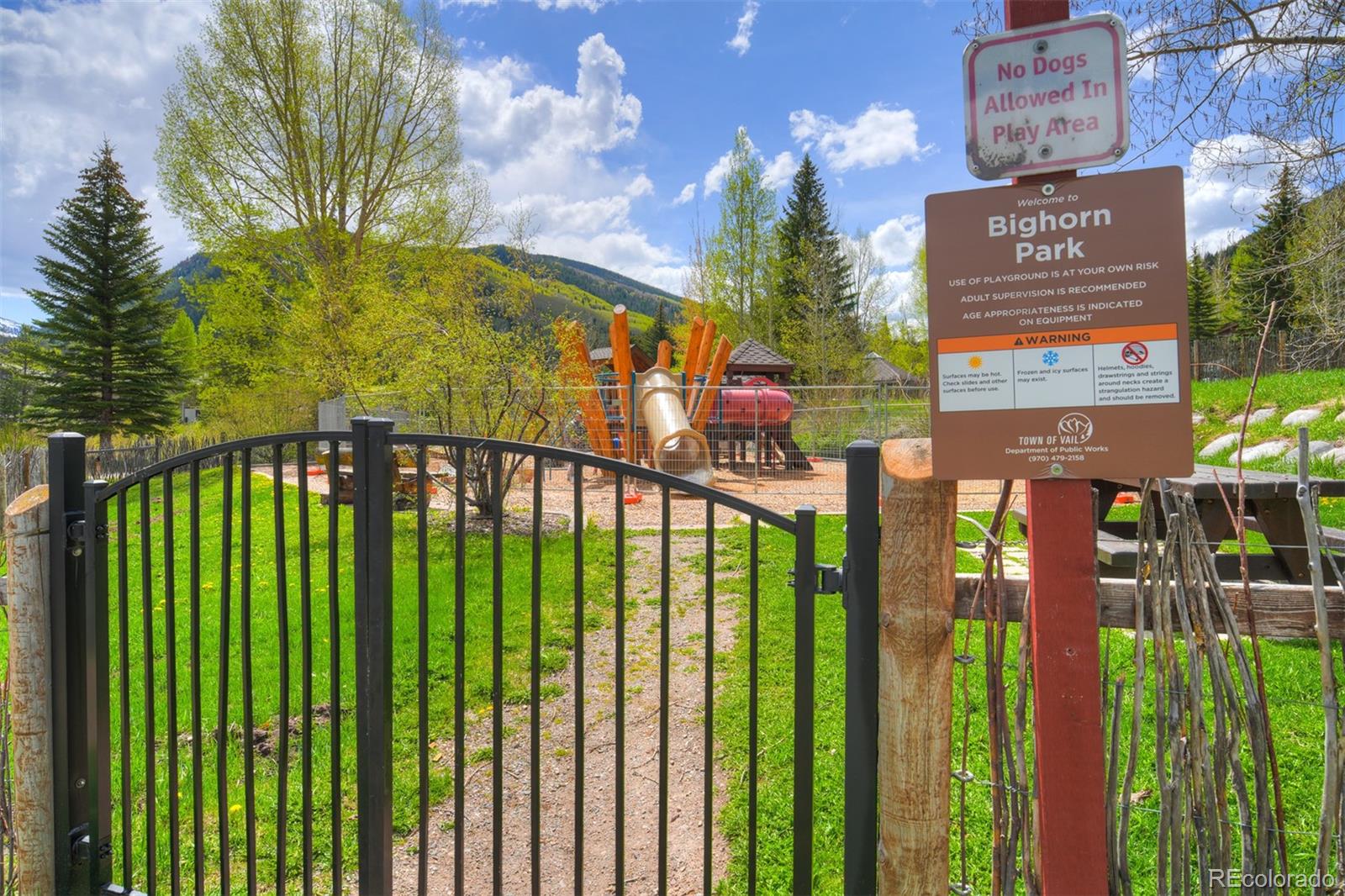 MLS Image #44 for 4295  columbine drive,vail, Colorado