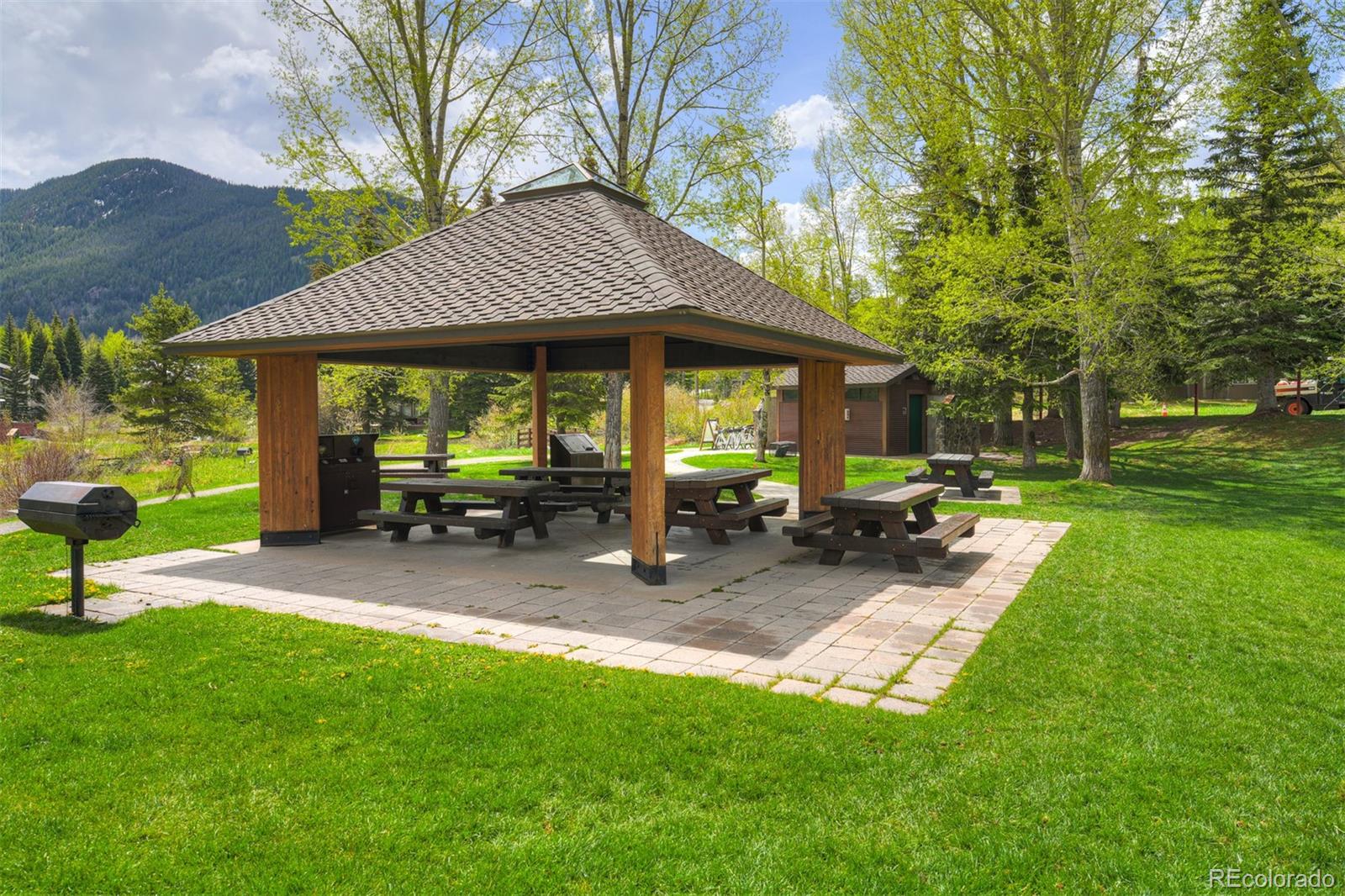 MLS Image #46 for 4295  columbine drive,vail, Colorado