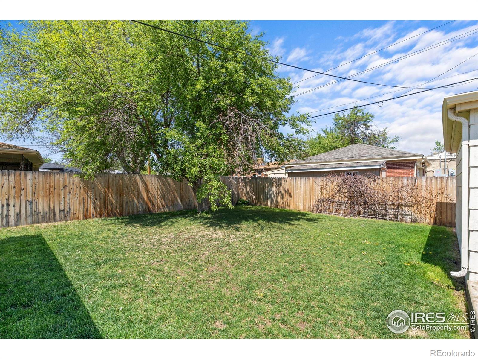 MLS Image #20 for 7736  vallejo street,denver, Colorado