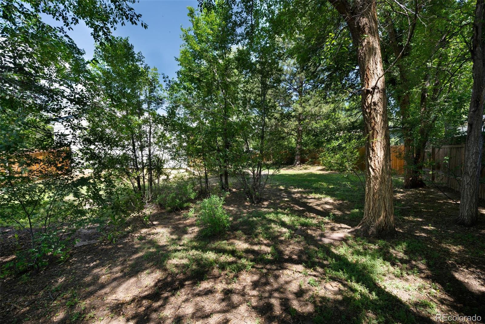 MLS Image #29 for 4446  frost drive,colorado springs, Colorado