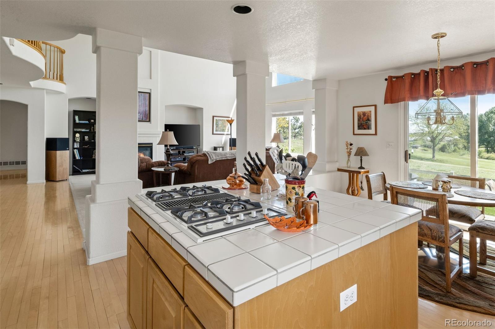 MLS Image #11 for 8806  tuscany lane,highlands ranch, Colorado