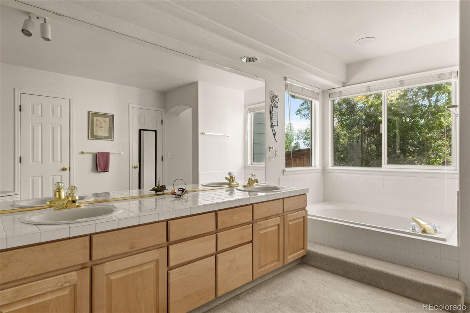 MLS Image #22 for 8806  tuscany lane,highlands ranch, Colorado