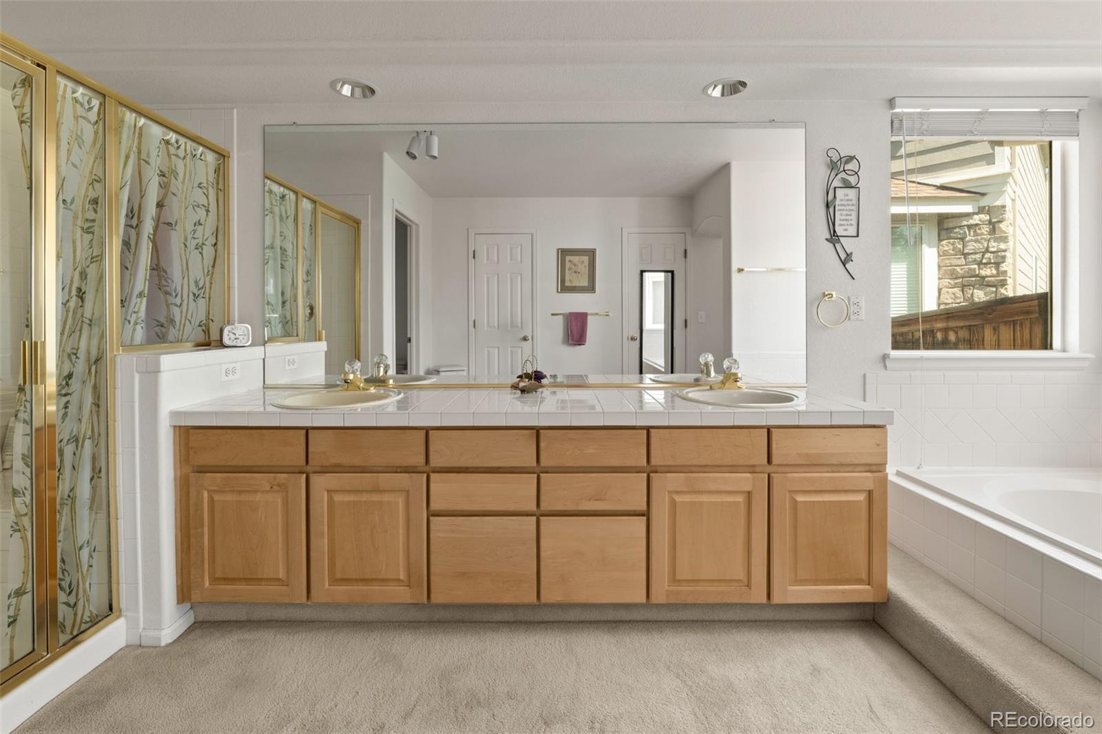 MLS Image #23 for 8806  tuscany lane,highlands ranch, Colorado