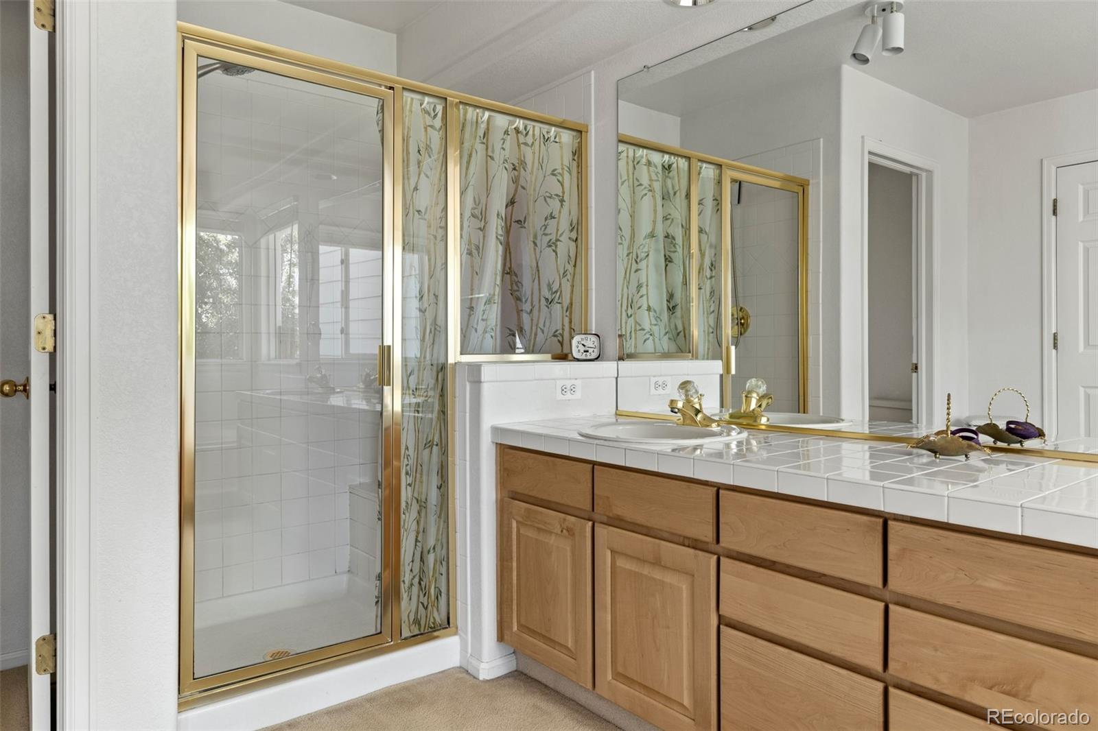 MLS Image #25 for 8806  tuscany lane,highlands ranch, Colorado
