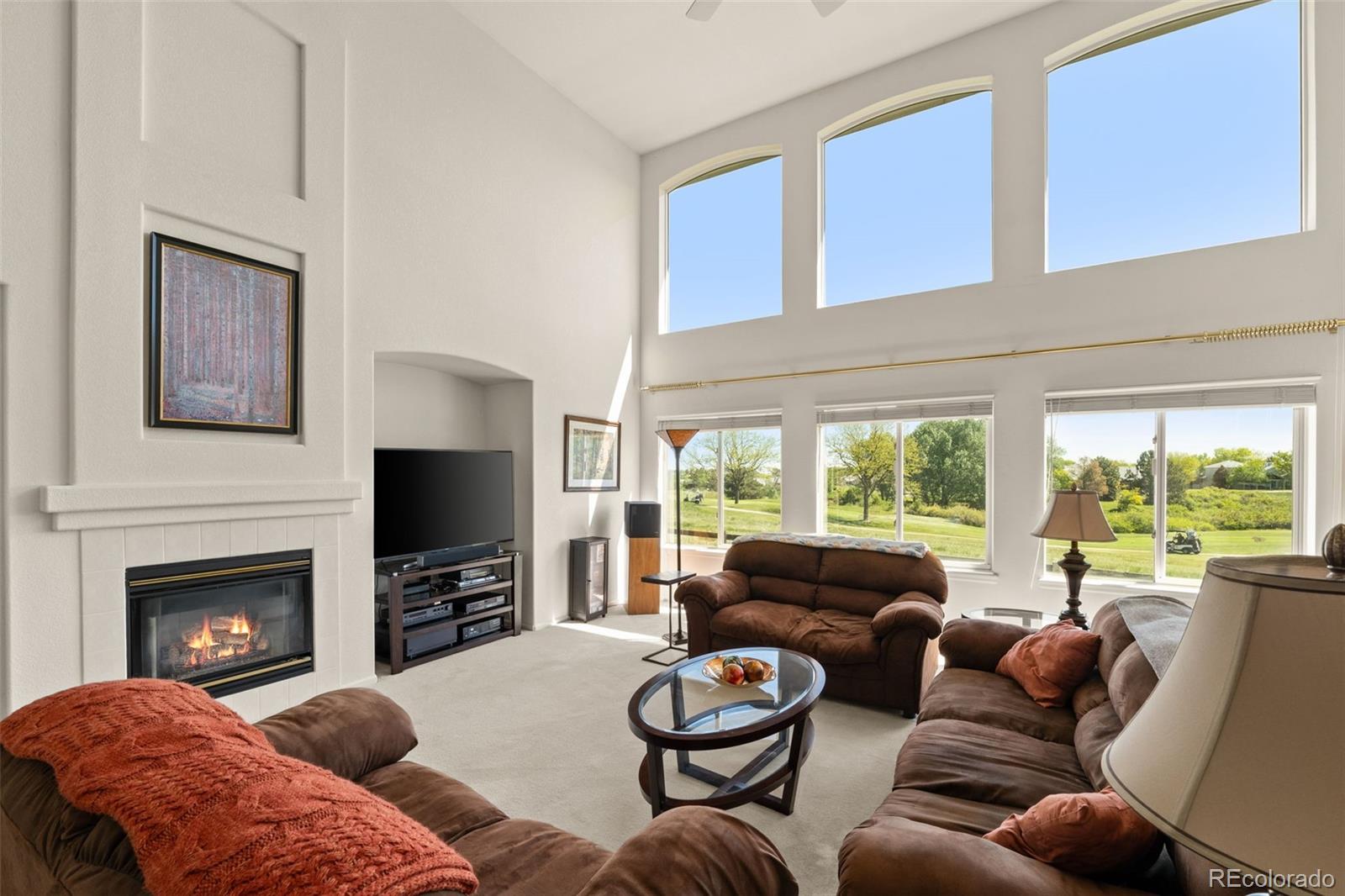 MLS Image #6 for 8806  tuscany lane,highlands ranch, Colorado