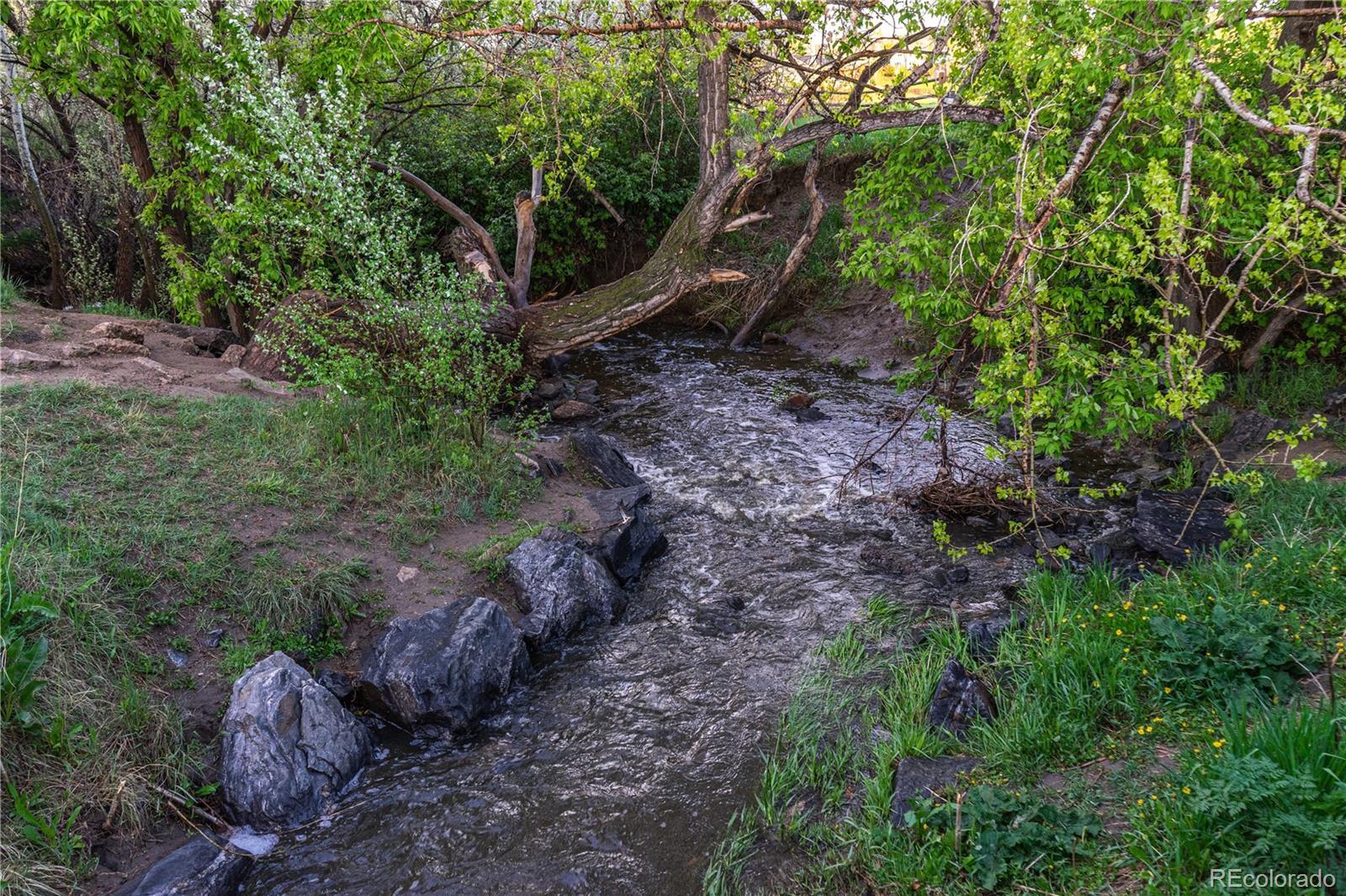 MLS Image #42 for 10723 w 54th place,arvada, Colorado