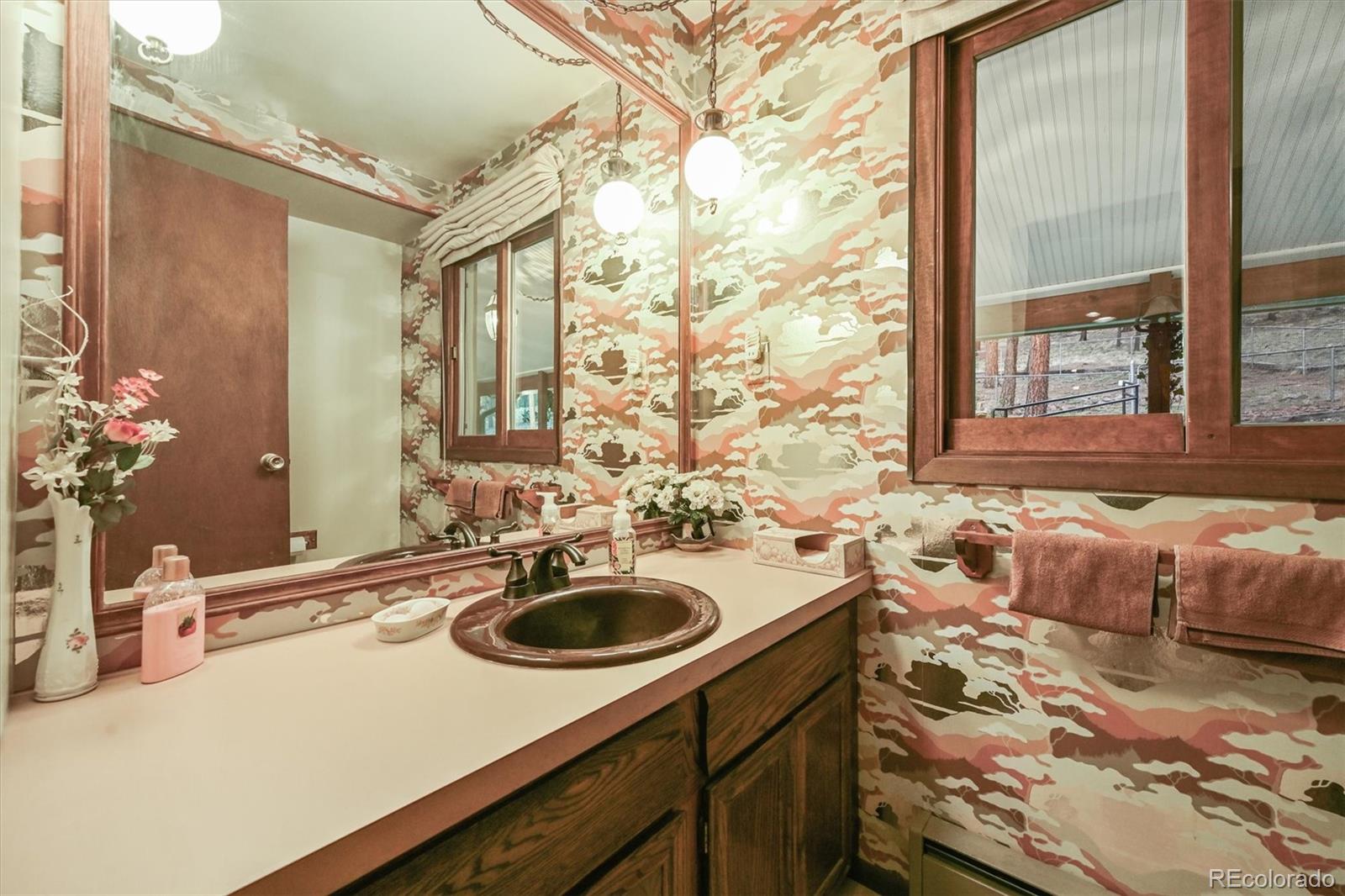 MLS Image #14 for 2169  vigilante avenue,bailey, Colorado