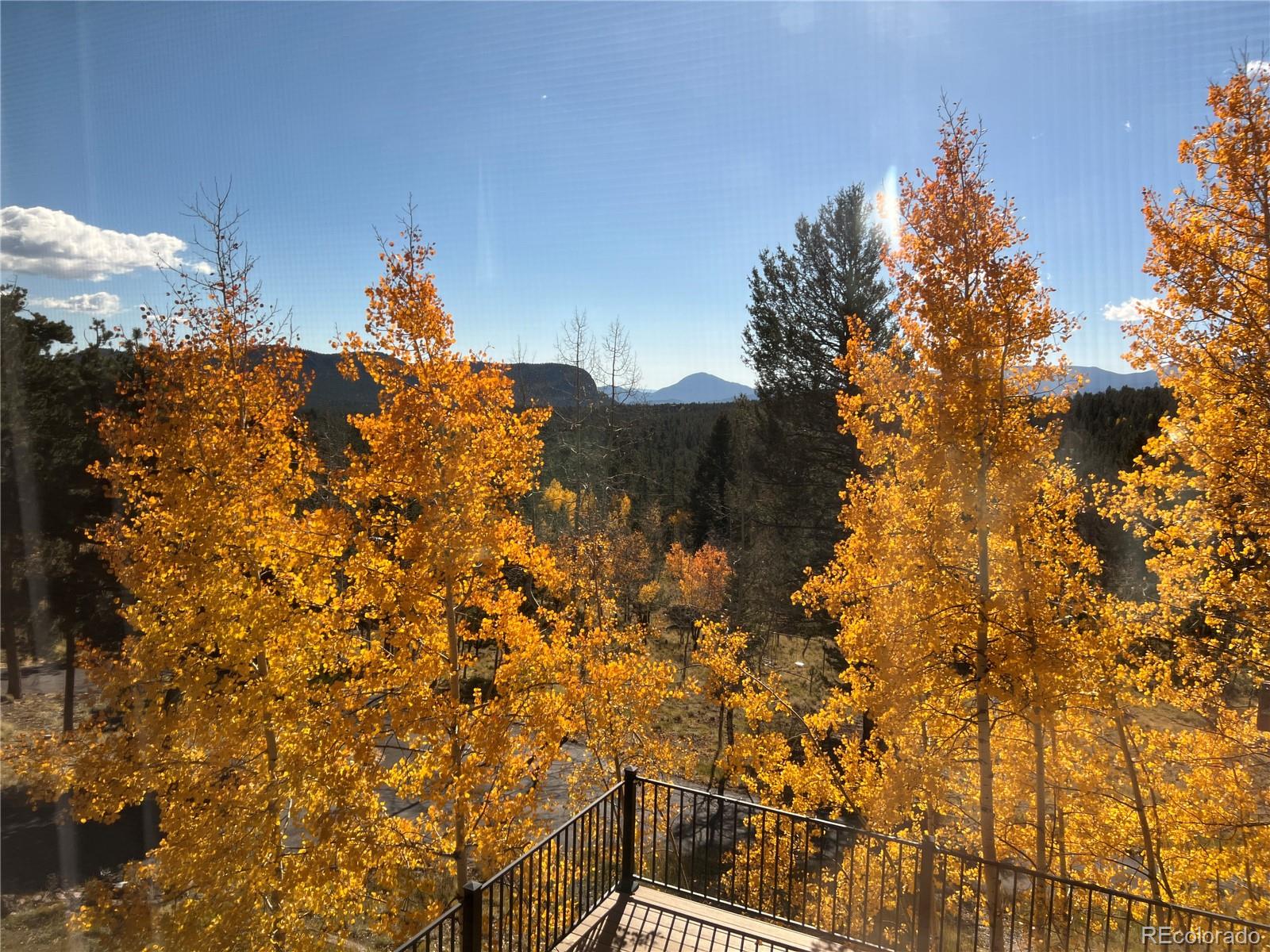 MLS Image #3 for 2169  vigilante avenue,bailey, Colorado