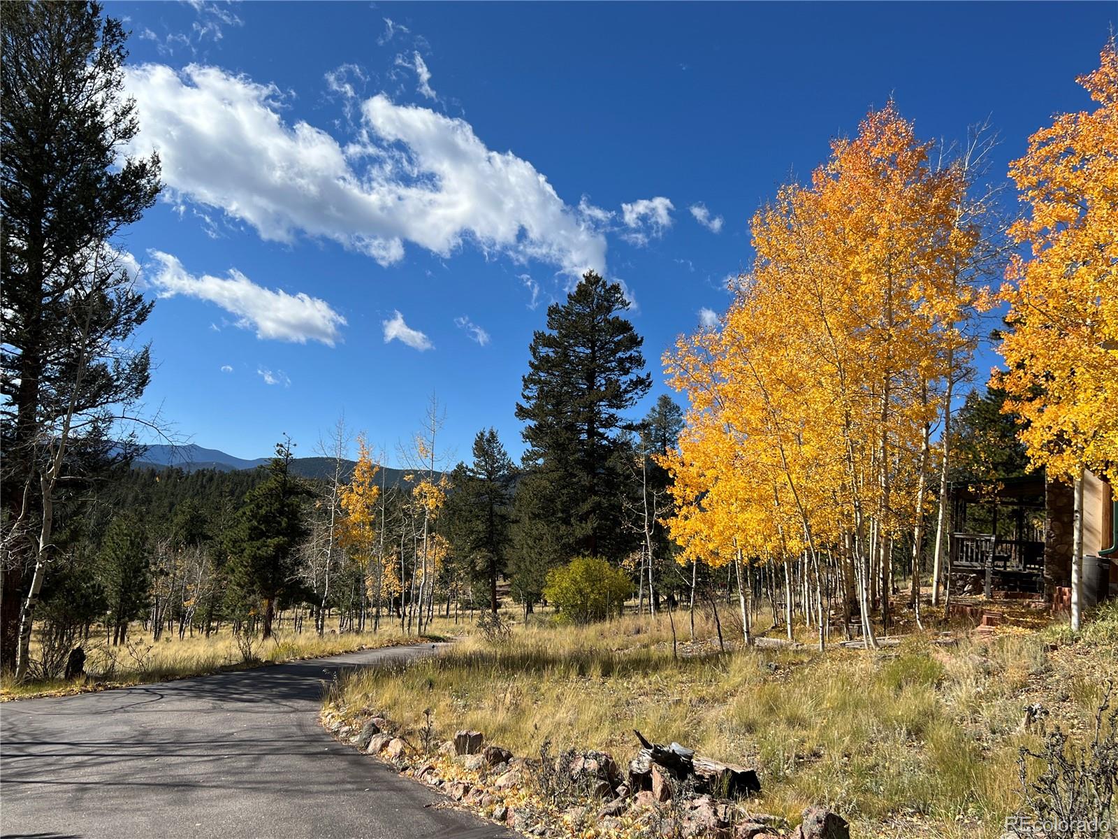 MLS Image #47 for 2169  vigilante avenue,bailey, Colorado