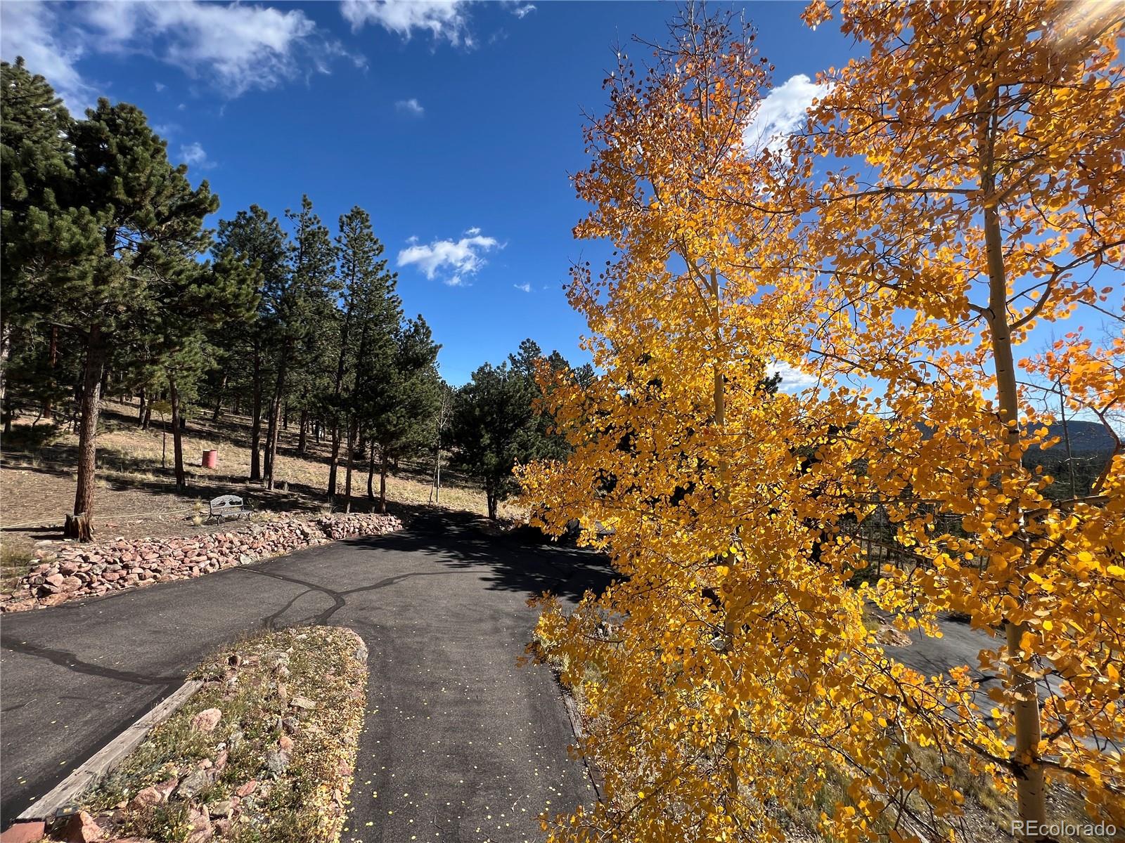 MLS Image #48 for 2169  vigilante avenue,bailey, Colorado