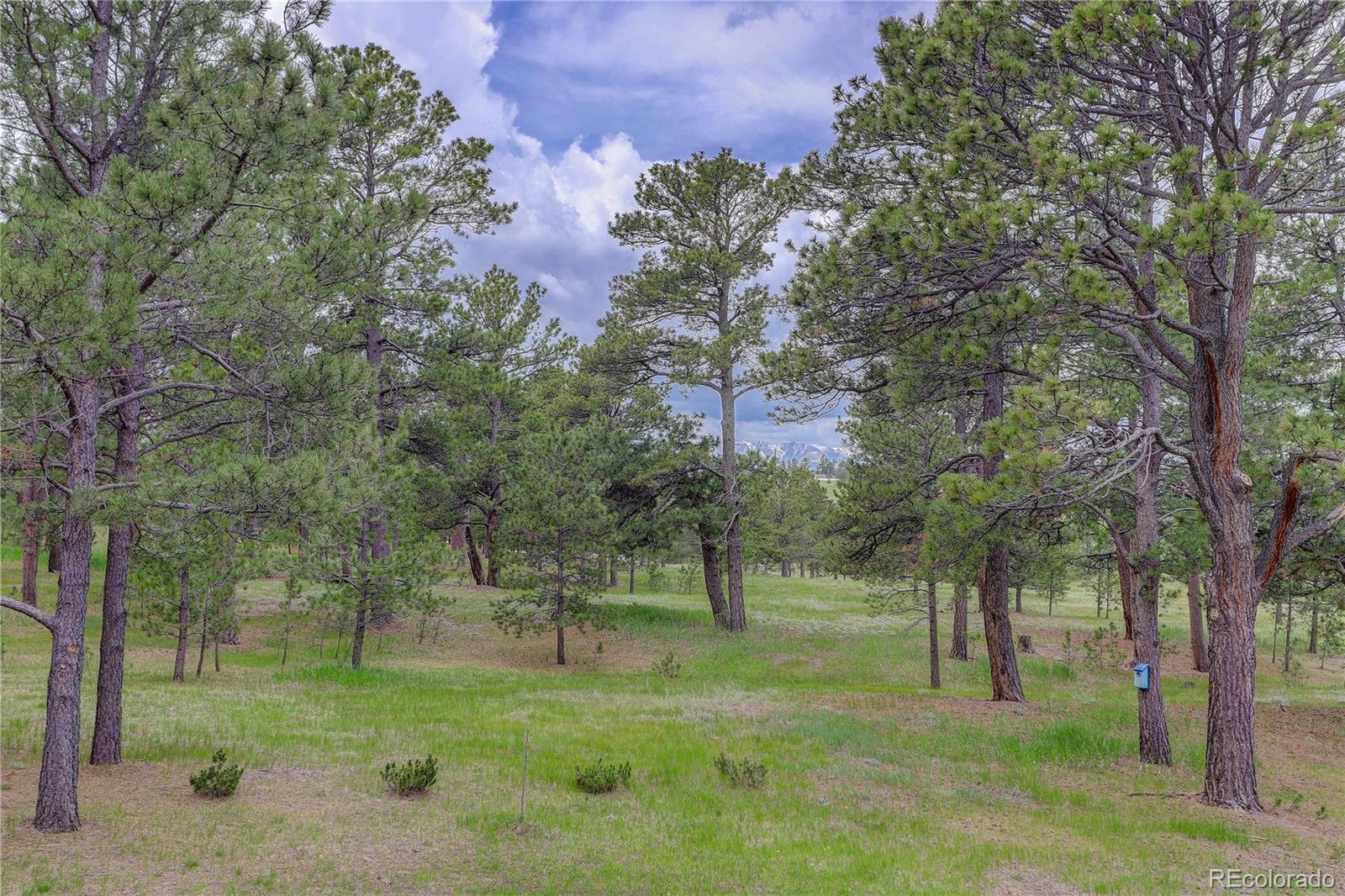 MLS Image #12 for 14810  herring road,colorado springs, Colorado