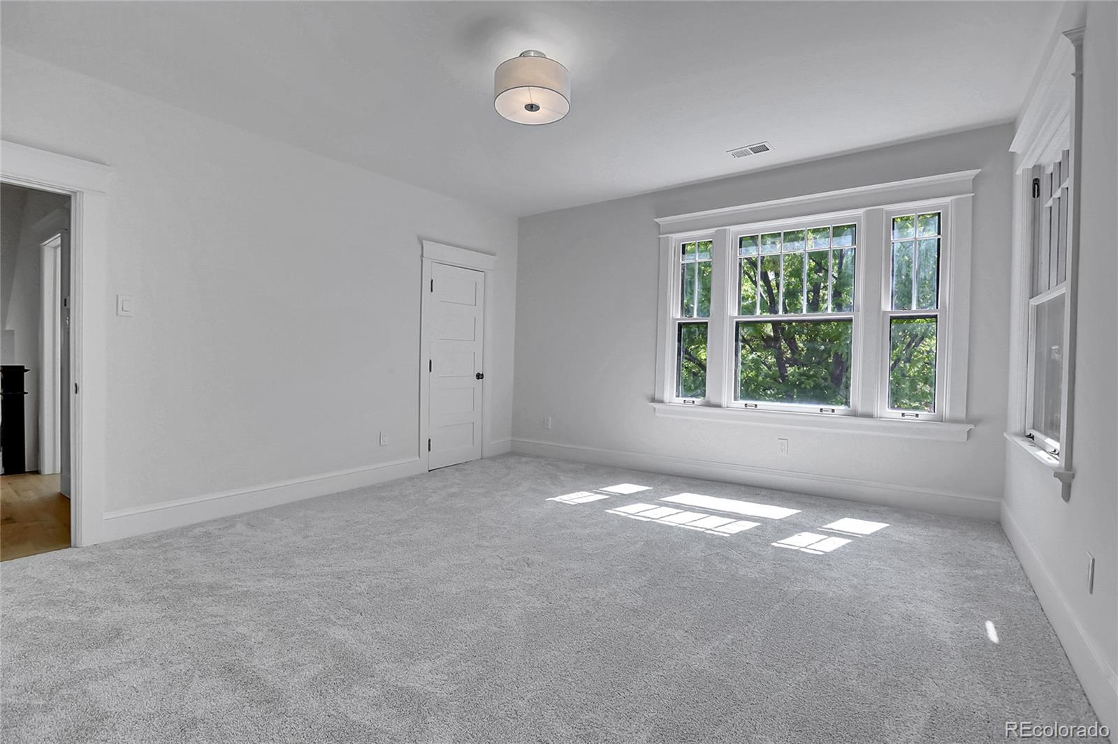 MLS Image #18 for 1343  milwaukee street,denver, Colorado