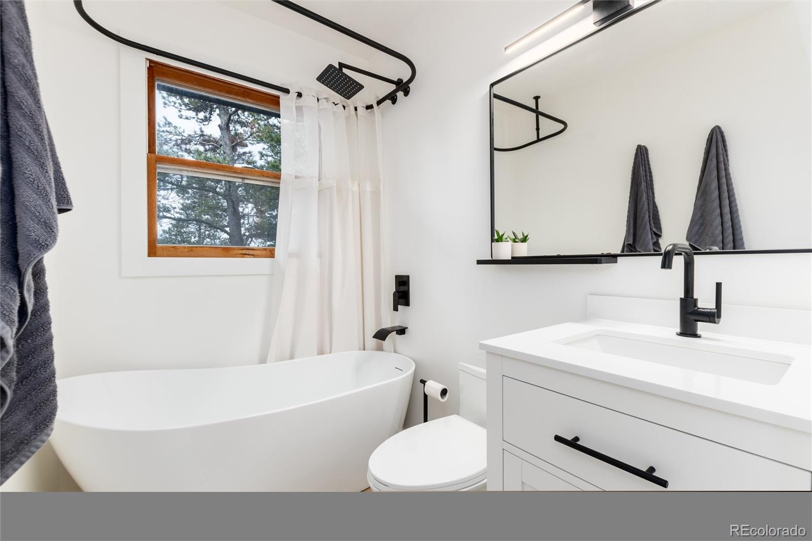 MLS Image #17 for 236  harris drive,idaho springs, Colorado