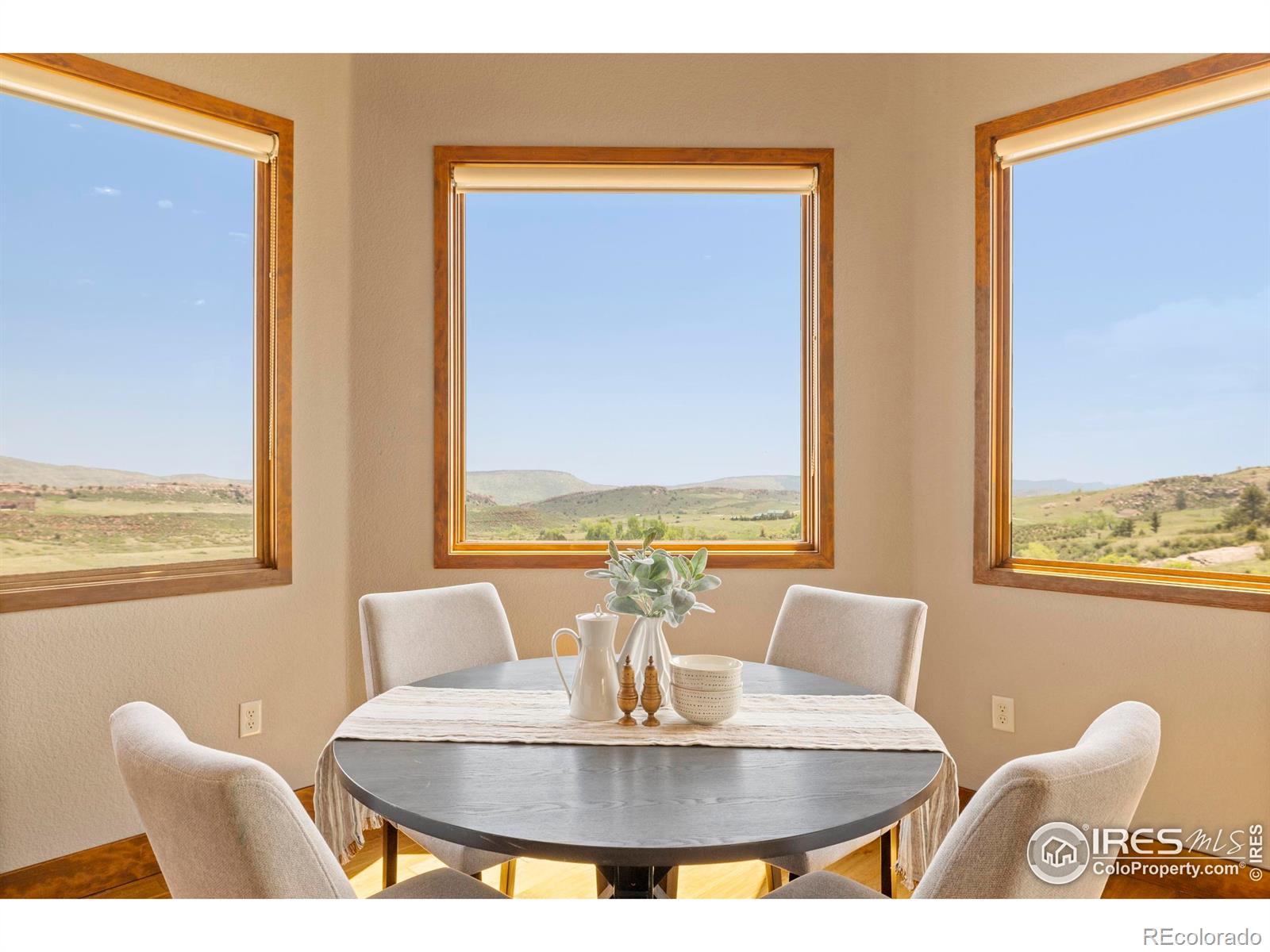 MLS Image #6 for 183  red bear road,laporte, Colorado