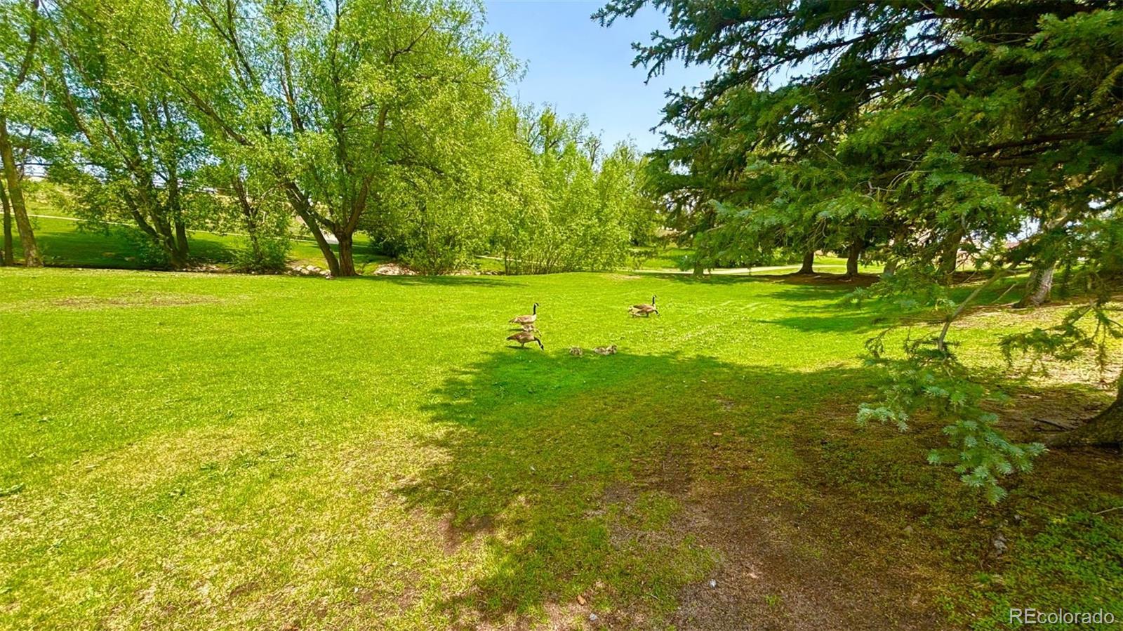 MLS Image #40 for 8445  williamsburg drive,colorado springs, Colorado
