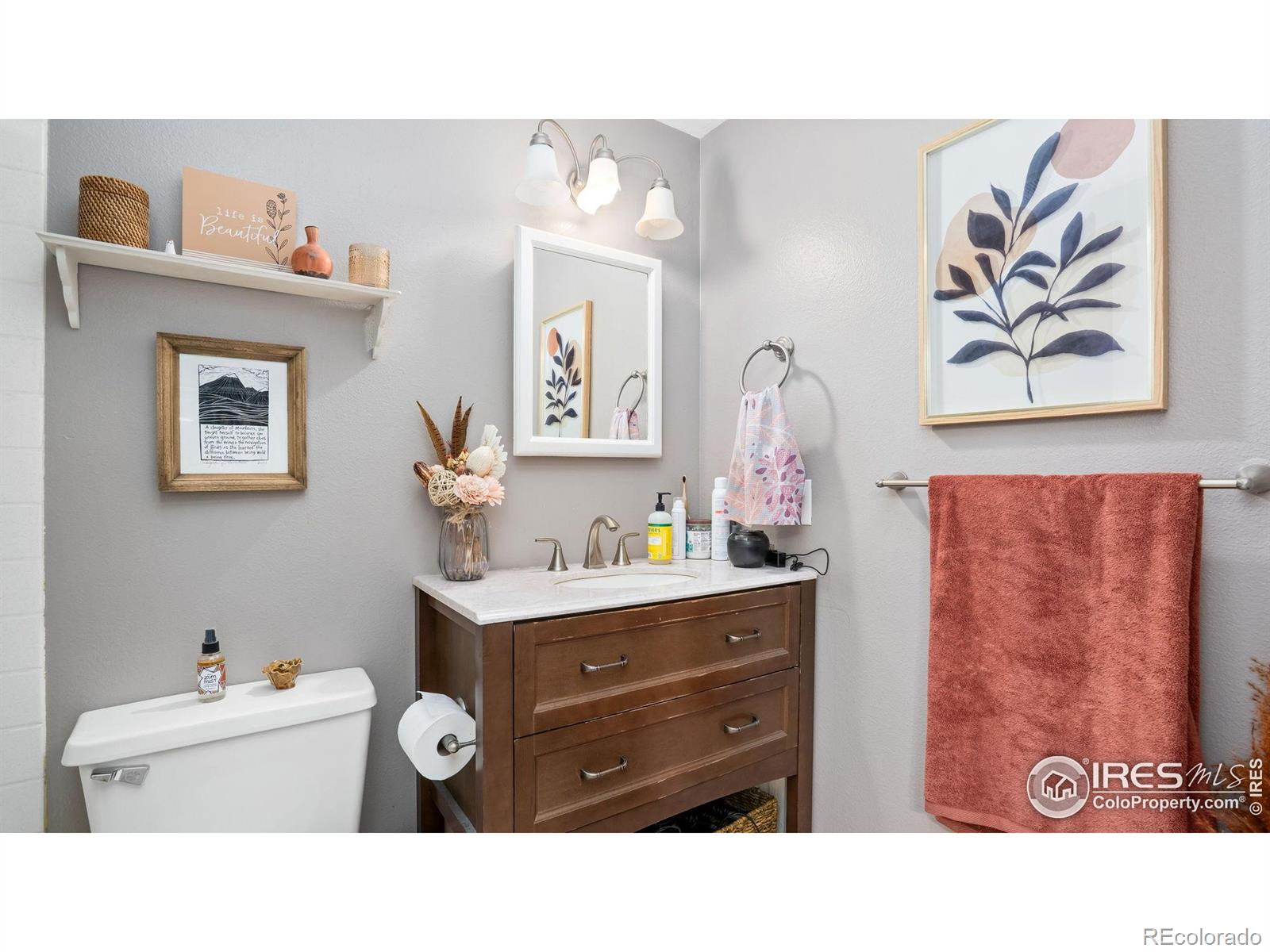 MLS Image #13 for 3413  thames court,fort collins, Colorado