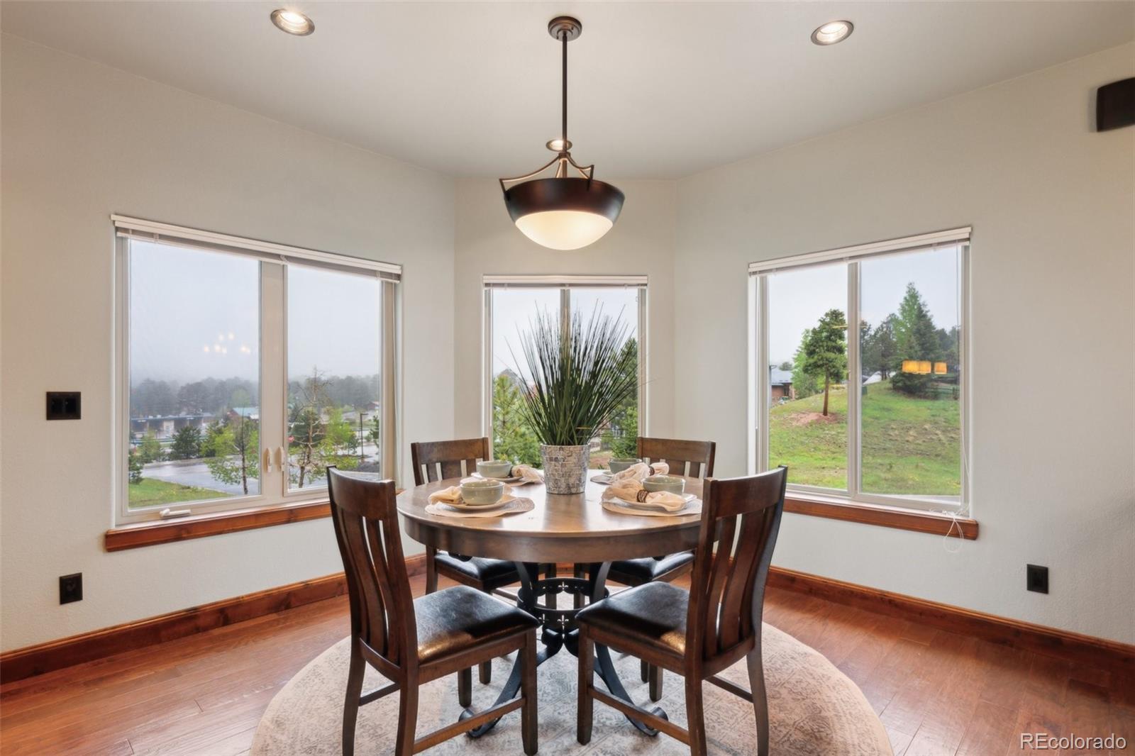 MLS Image #6 for 491  skyline drive,woodland park, Colorado