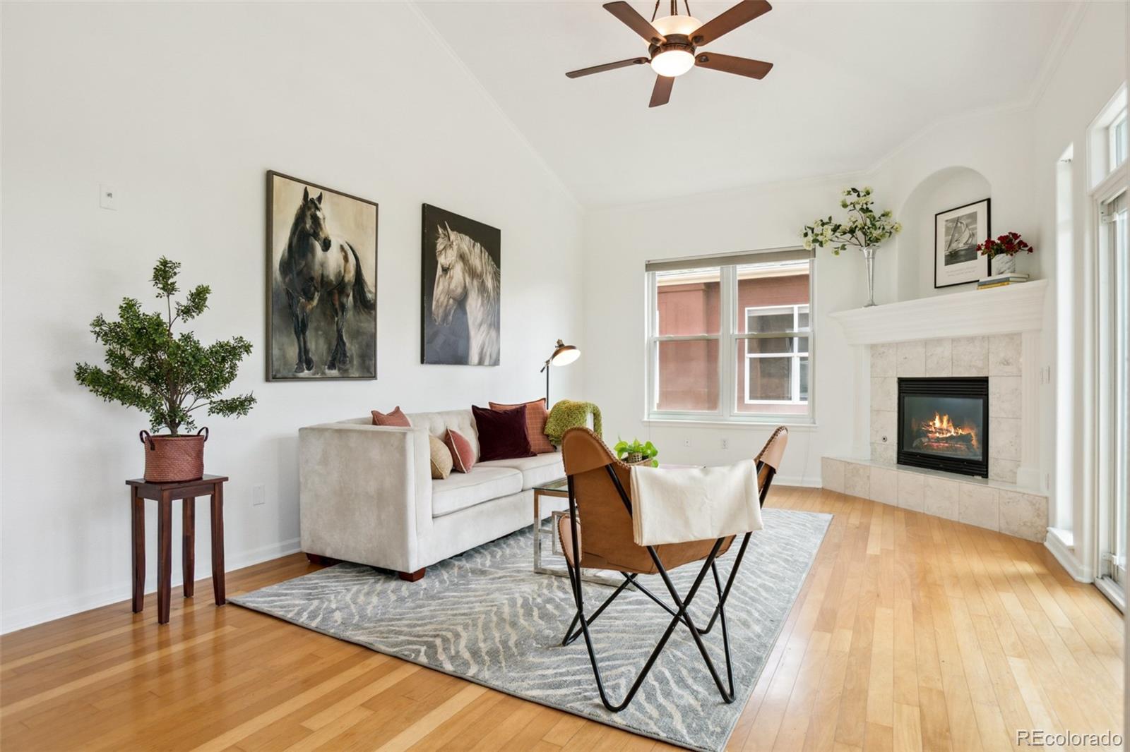 MLS Image #3 for 2100 n humboldt street 302,denver, Colorado
