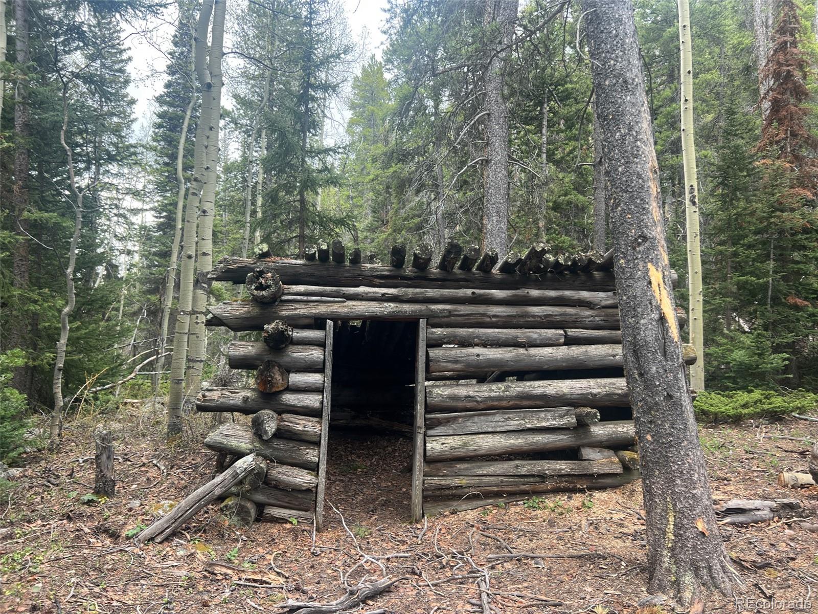 MLS Image #26 for 000  unassigned forest road 365 avenue,buena vista, Colorado