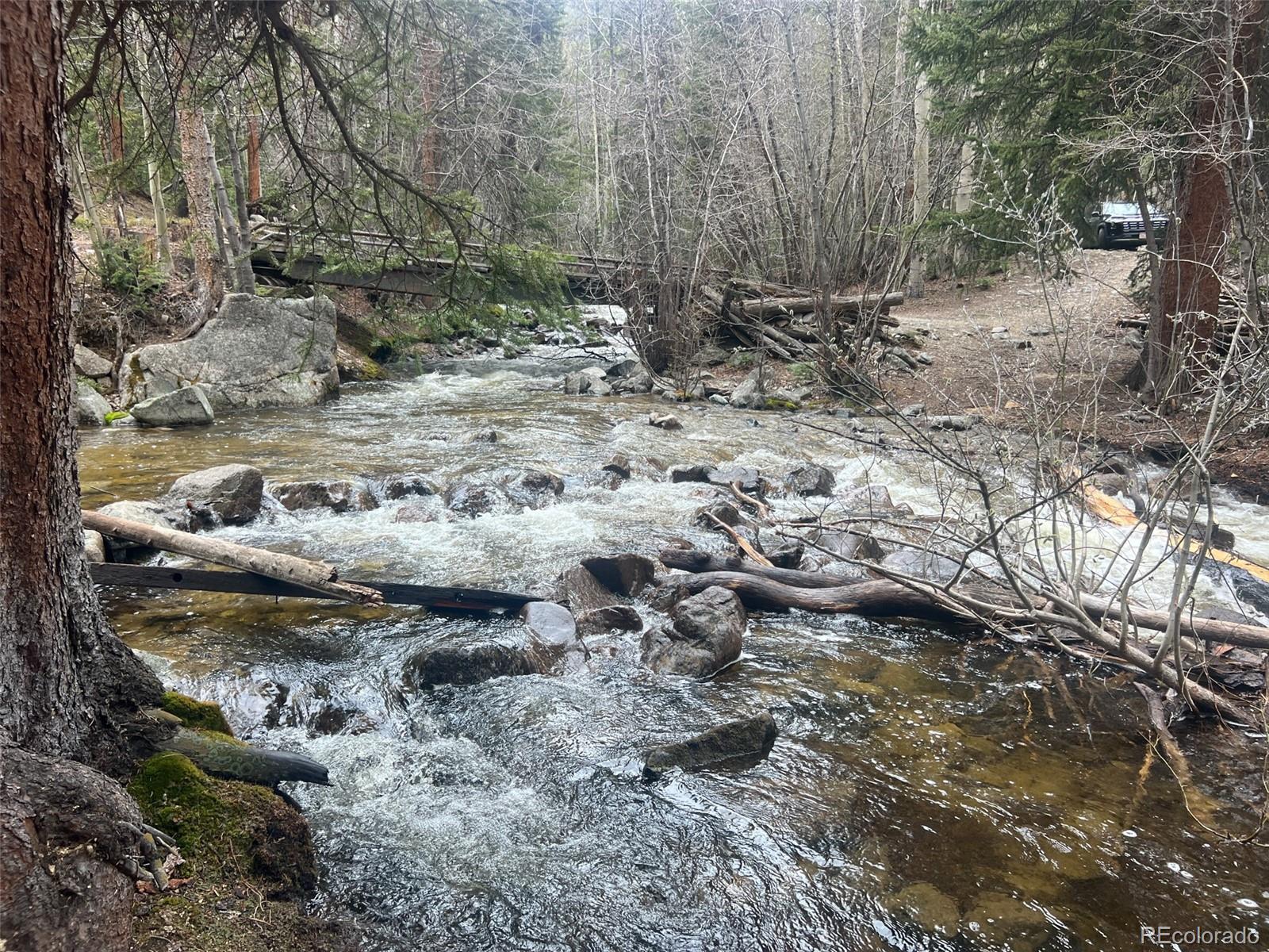 MLS Image #27 for 000  unassigned forest road 365 avenue,buena vista, Colorado