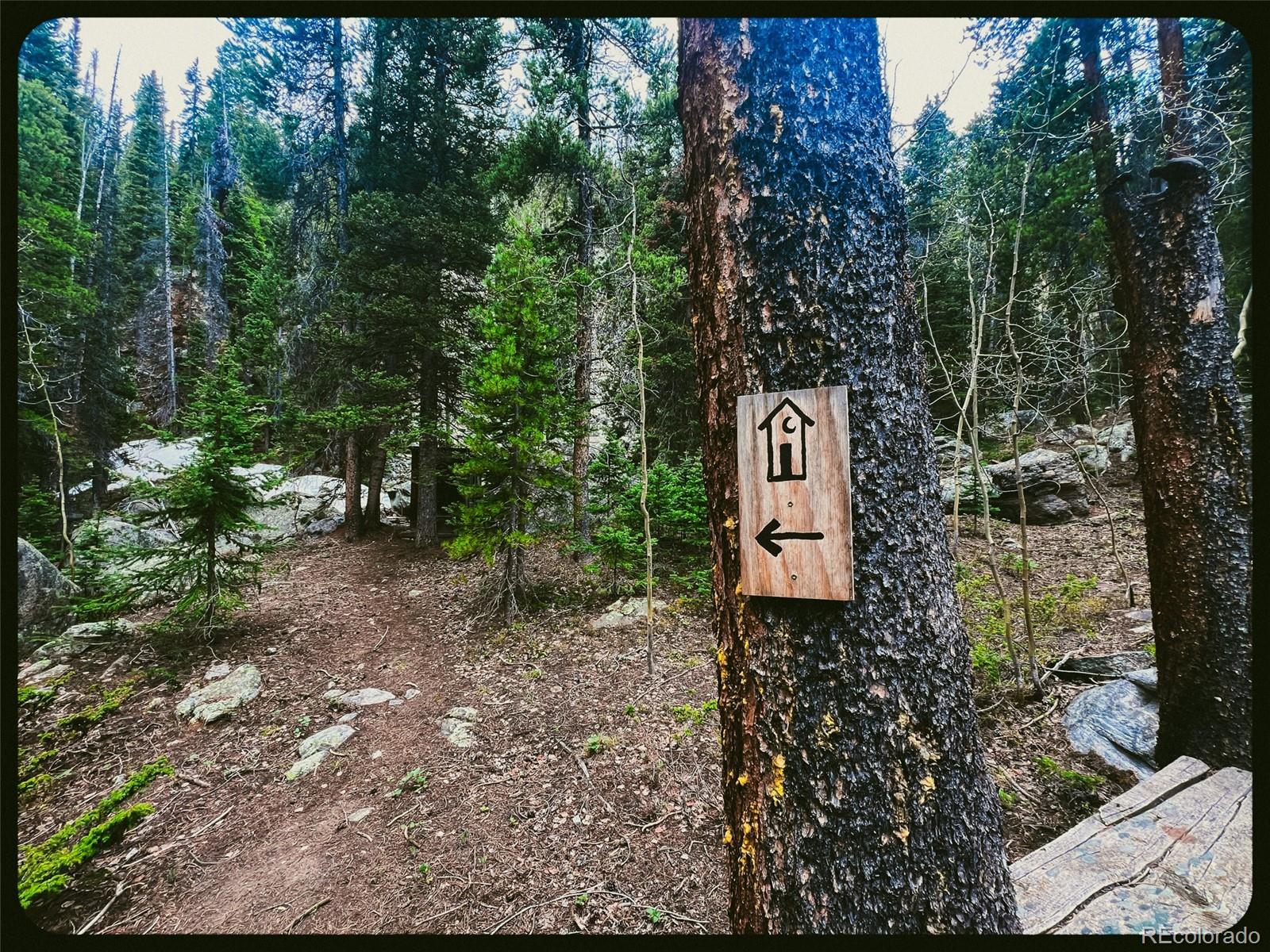 MLS Image #30 for 000  unassigned forest road 365 avenue,buena vista, Colorado