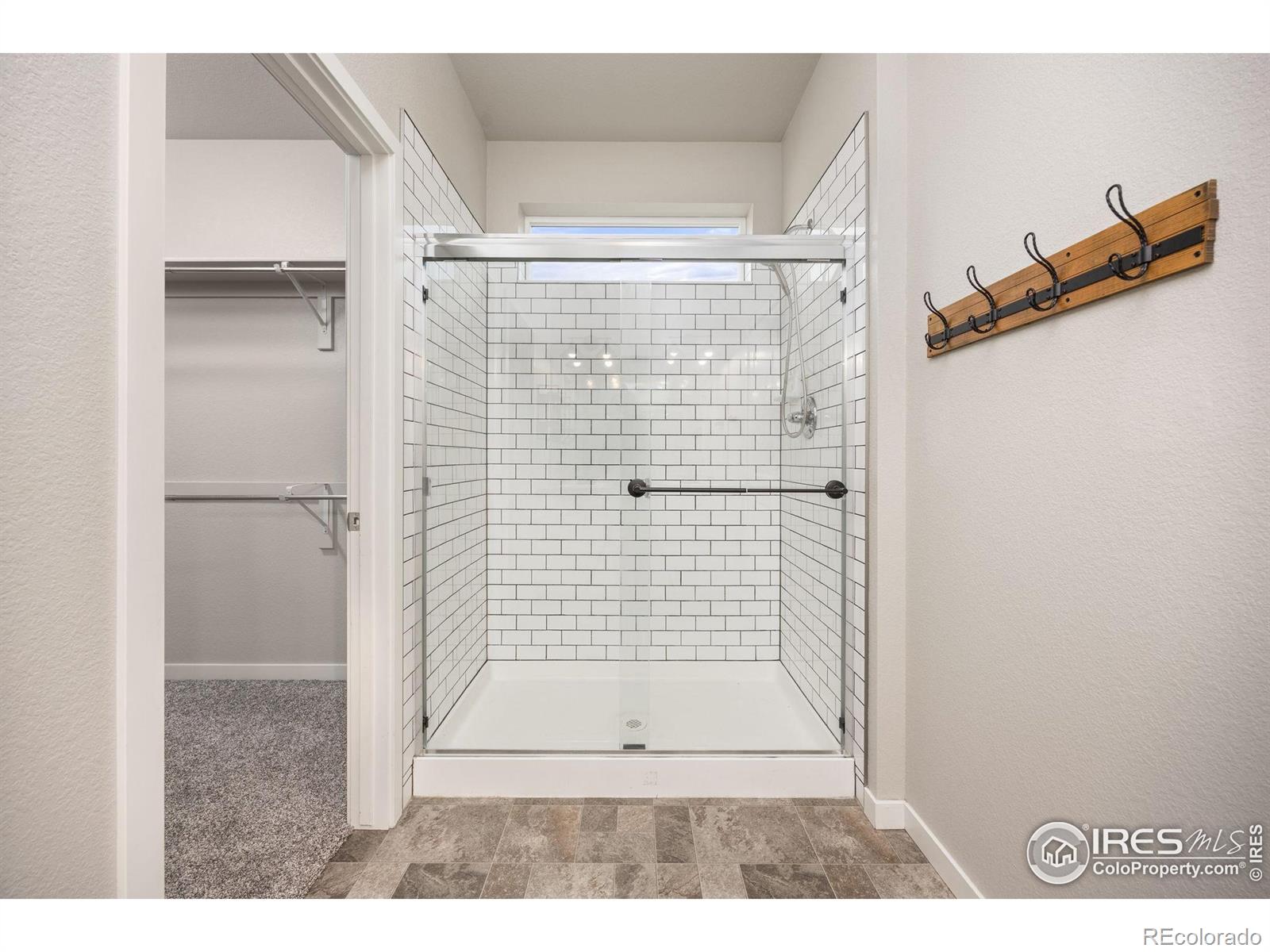 MLS Image #17 for 3925  buckthorn street,wellington, Colorado