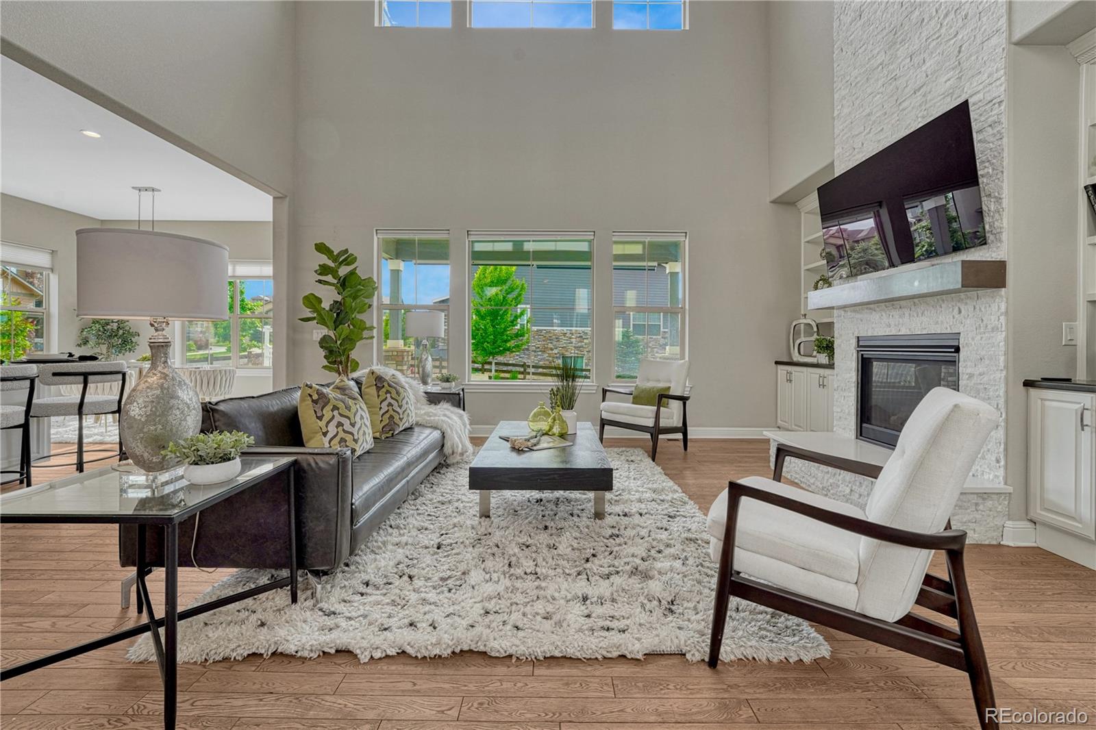 MLS Image #10 for 11821  discovery lane,parker, Colorado