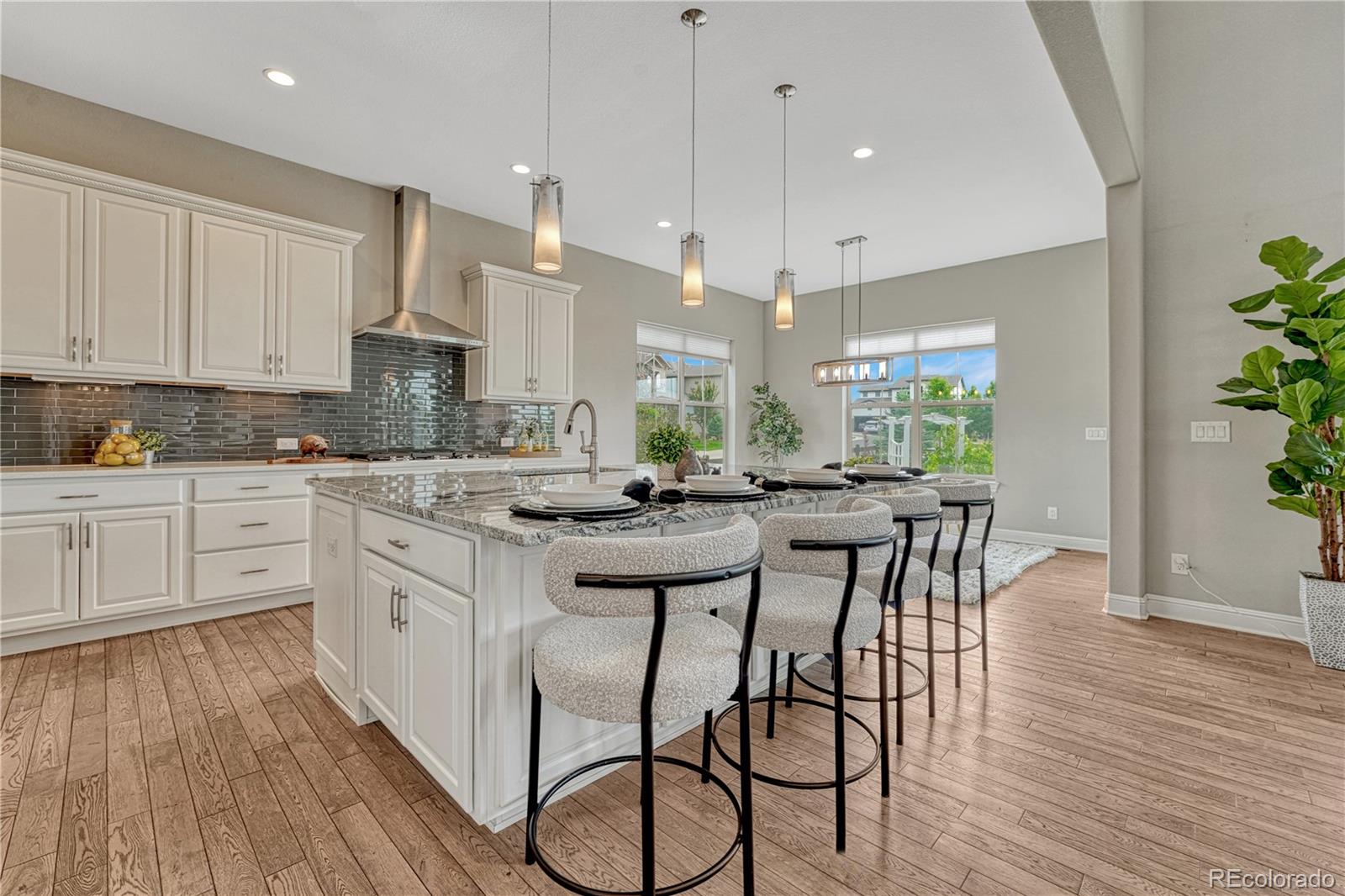 MLS Image #13 for 11821  discovery lane,parker, Colorado