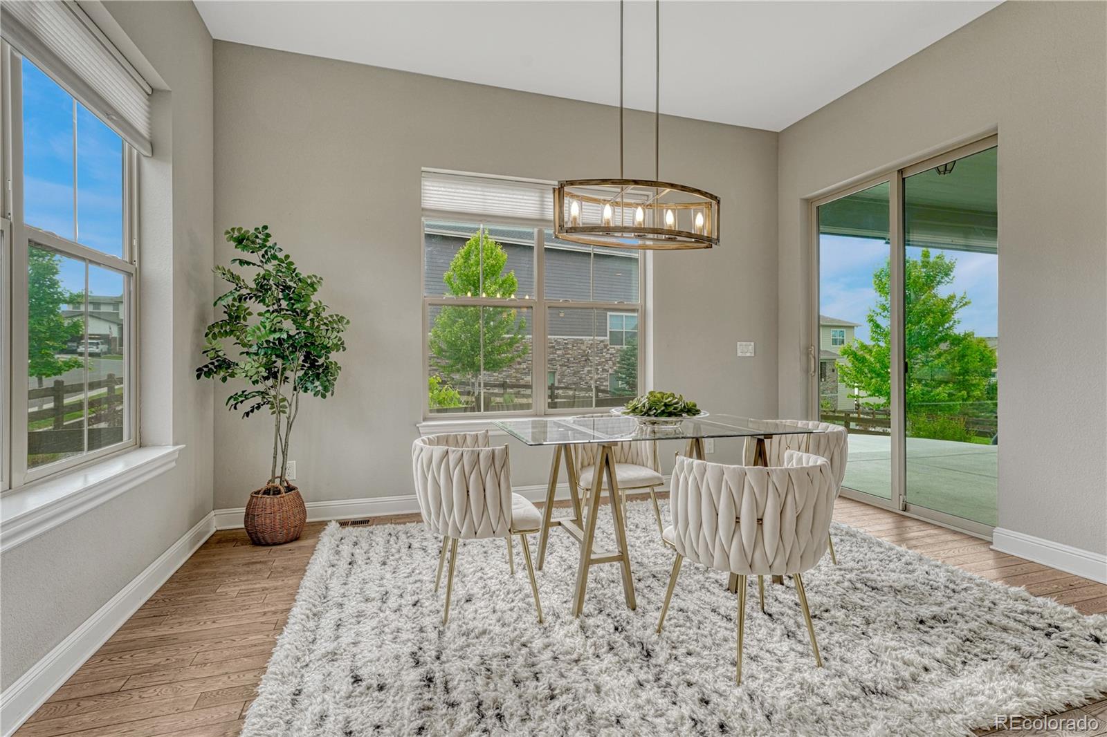 MLS Image #19 for 11821  discovery lane,parker, Colorado