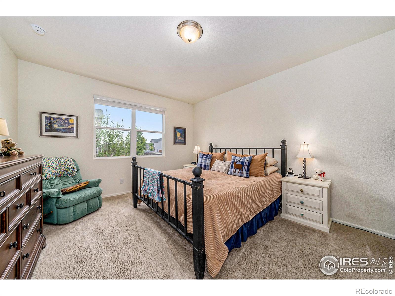 MLS Image #11 for 926  birchdale court,windsor, Colorado