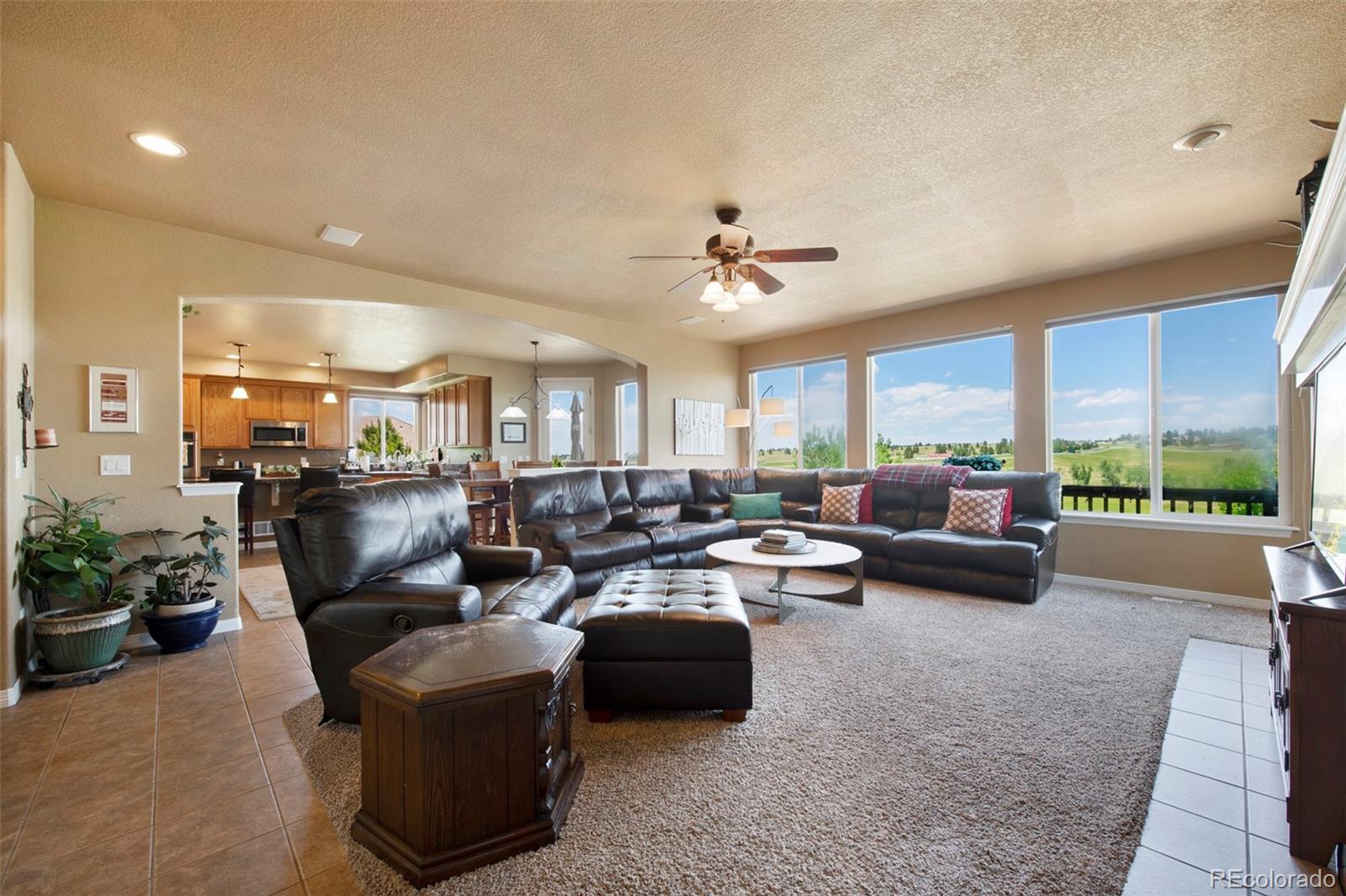 MLS Image #19 for 9928  bluestar drive,parker, Colorado