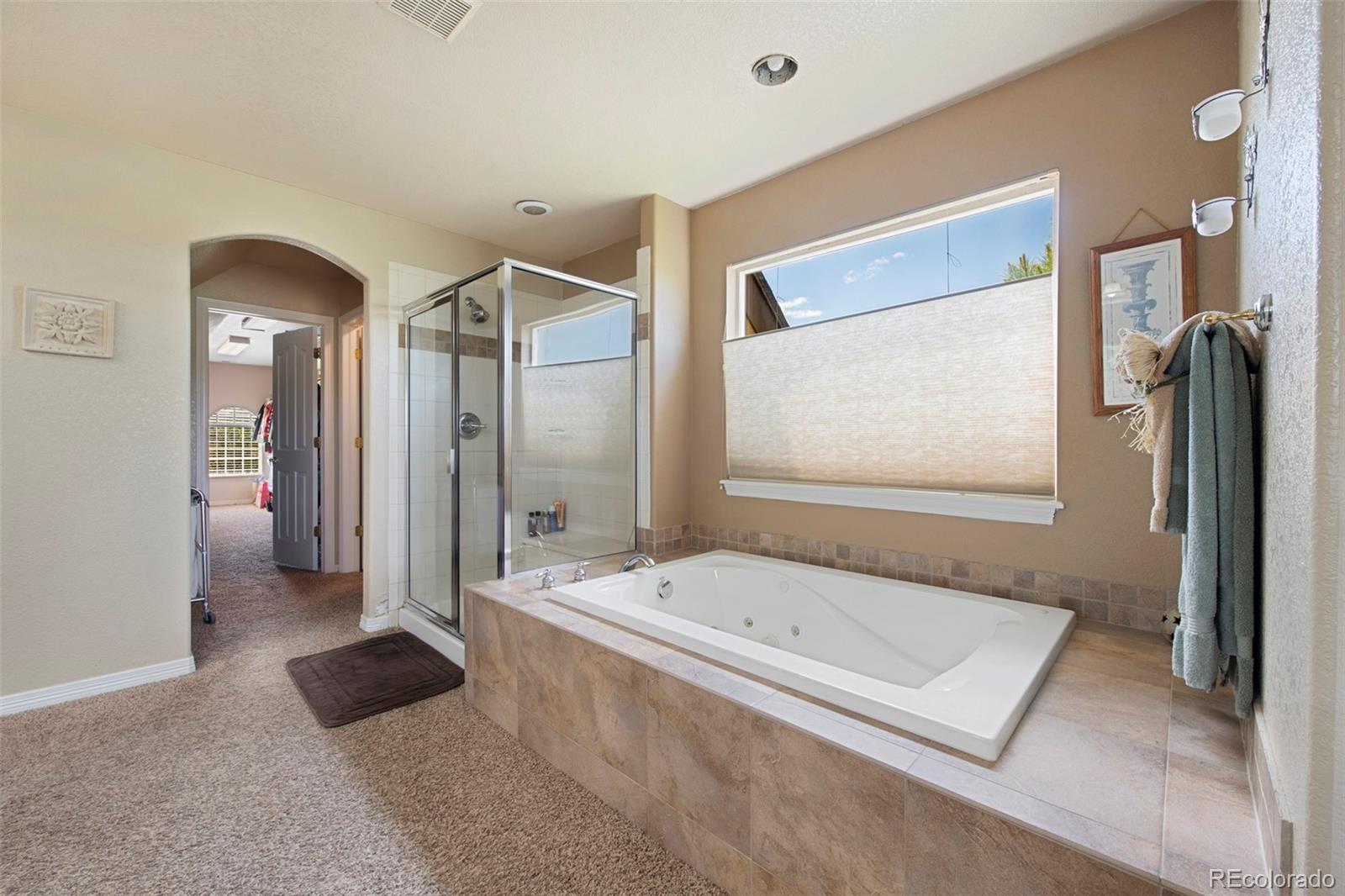 MLS Image #27 for 9928  bluestar drive,parker, Colorado