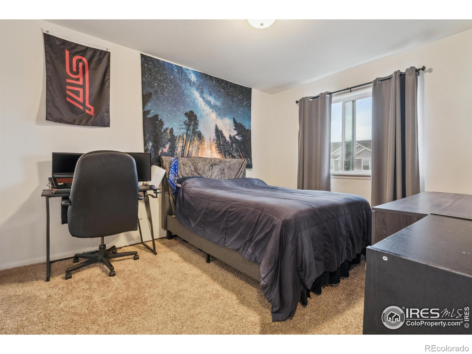 MLS Image #19 for 978  mouflon drive,severance, Colorado