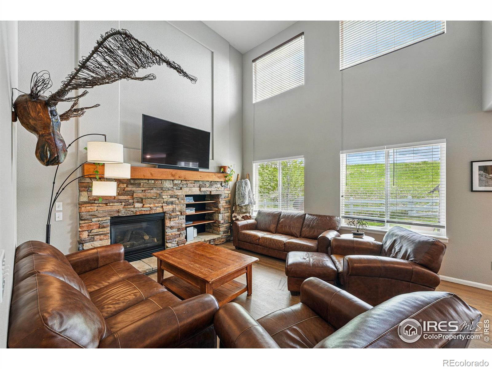MLS Image #11 for 682  briar dale drive,castle pines, Colorado