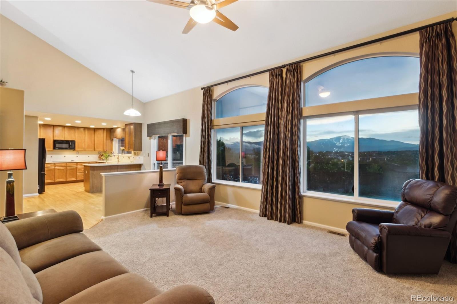 MLS Image #5 for 4561  desert varnish drive,colorado springs, Colorado