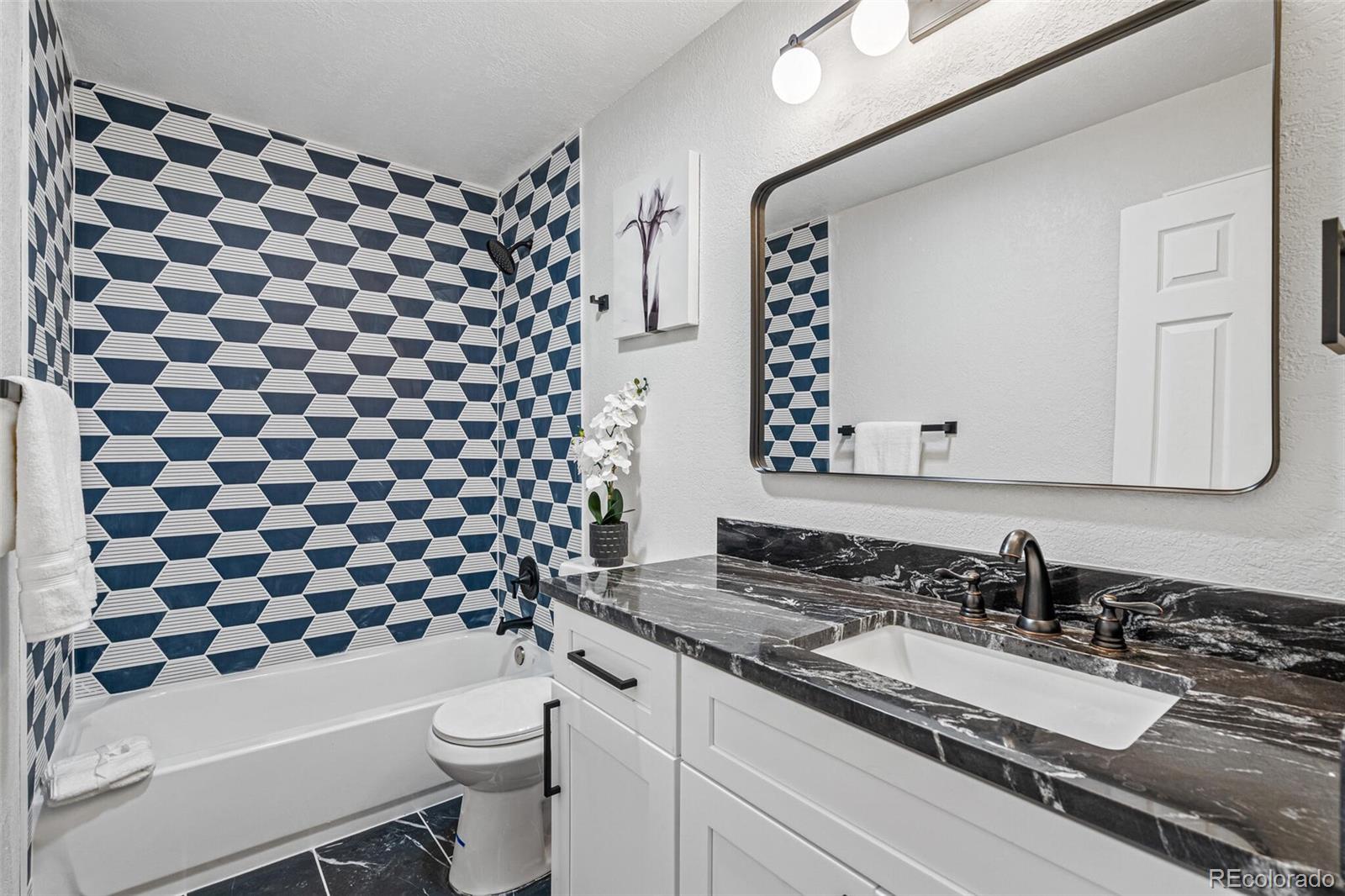 MLS Image #16 for 423  nile street,aurora, Colorado