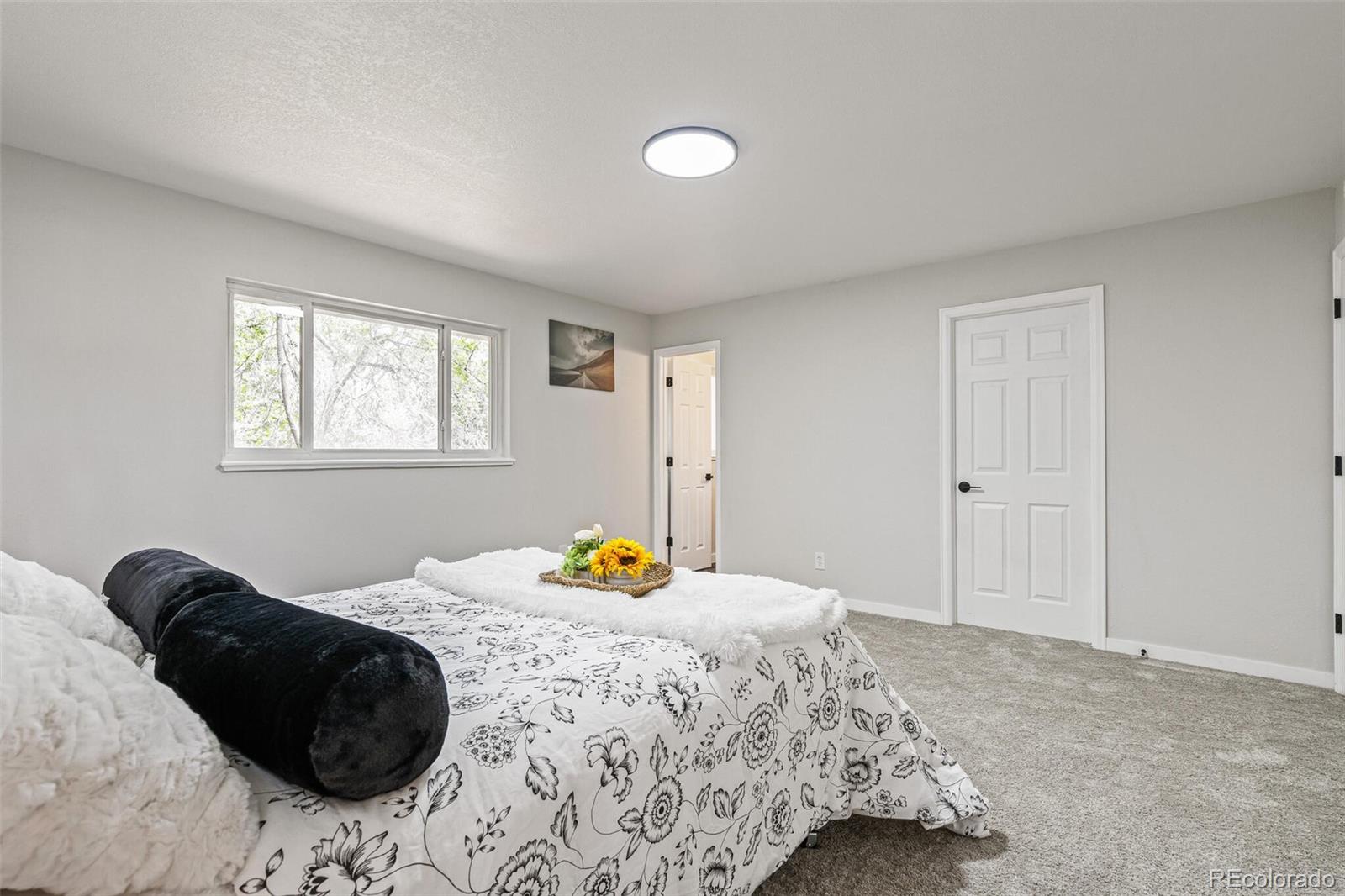 MLS Image #17 for 423  nile street,aurora, Colorado