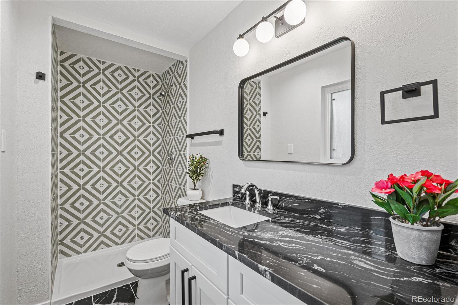 MLS Image #19 for 423  nile street,aurora, Colorado